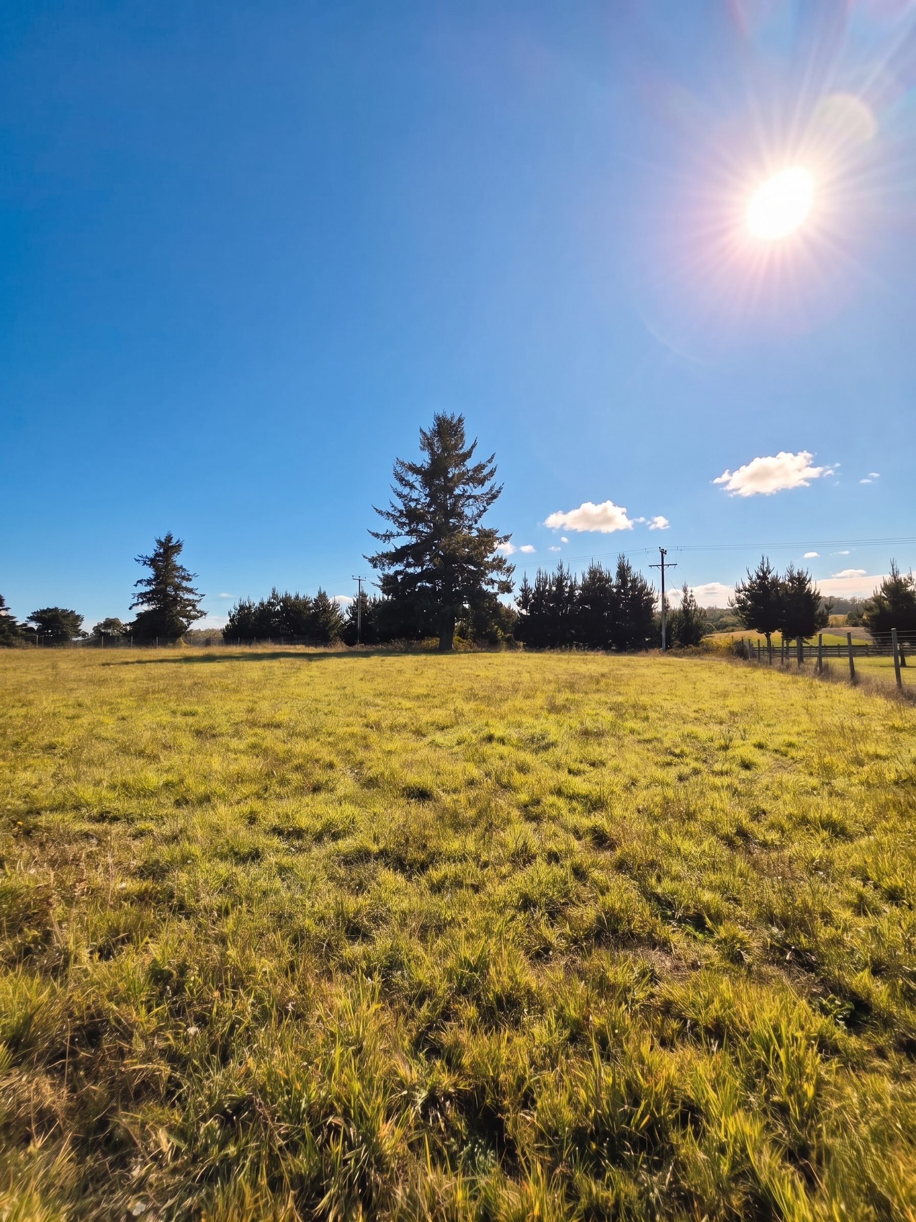 Superficie: 5.000 M².
Ubicación: Parcelación, condominio cerrado, Aires de Fresia / Cañitas.
Entorno: Pradera con árboles nativos.
Disponibilidad: Inmediata.¡Lista para escriturar!