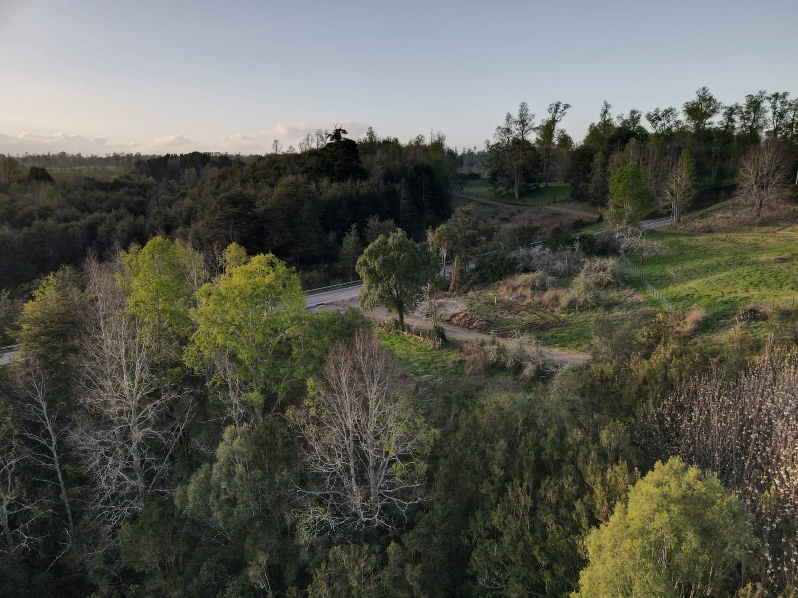 Hermosa parcela de 5000M2 en Condominio, ubicada en la apacible localidad de Cañitas, Región de Los Lagos.