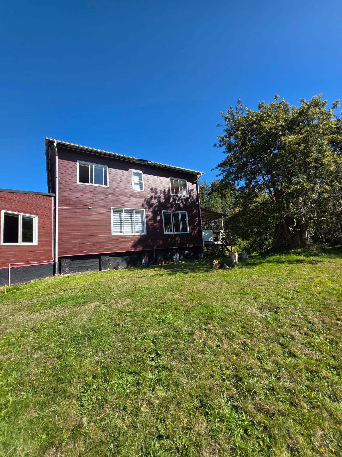 Oportunidad Única en Lagunitas: Amplio Terreno con Vivienda y Cabañas...