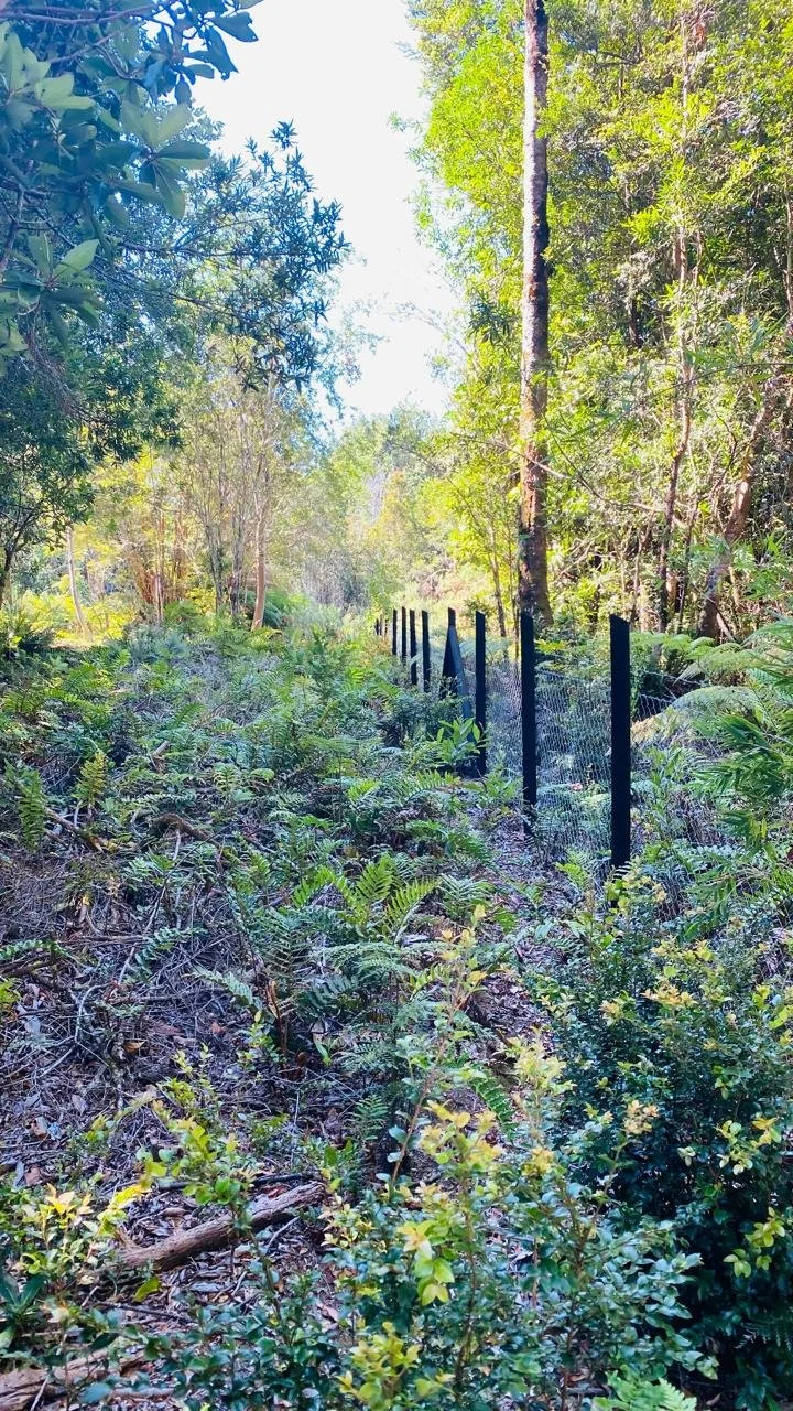 Parcela 100% cerrada