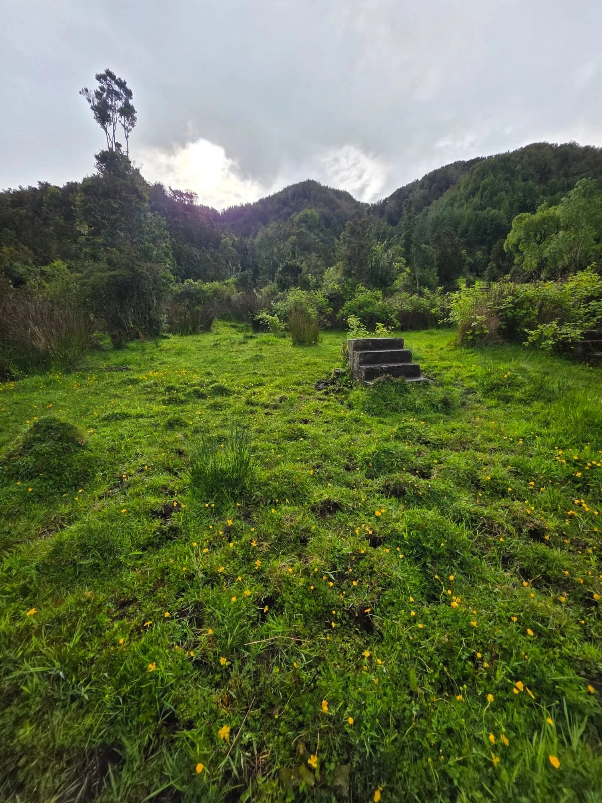 WhatsApp Image 2025-12-01 at 15.17.57 (1).jpeg