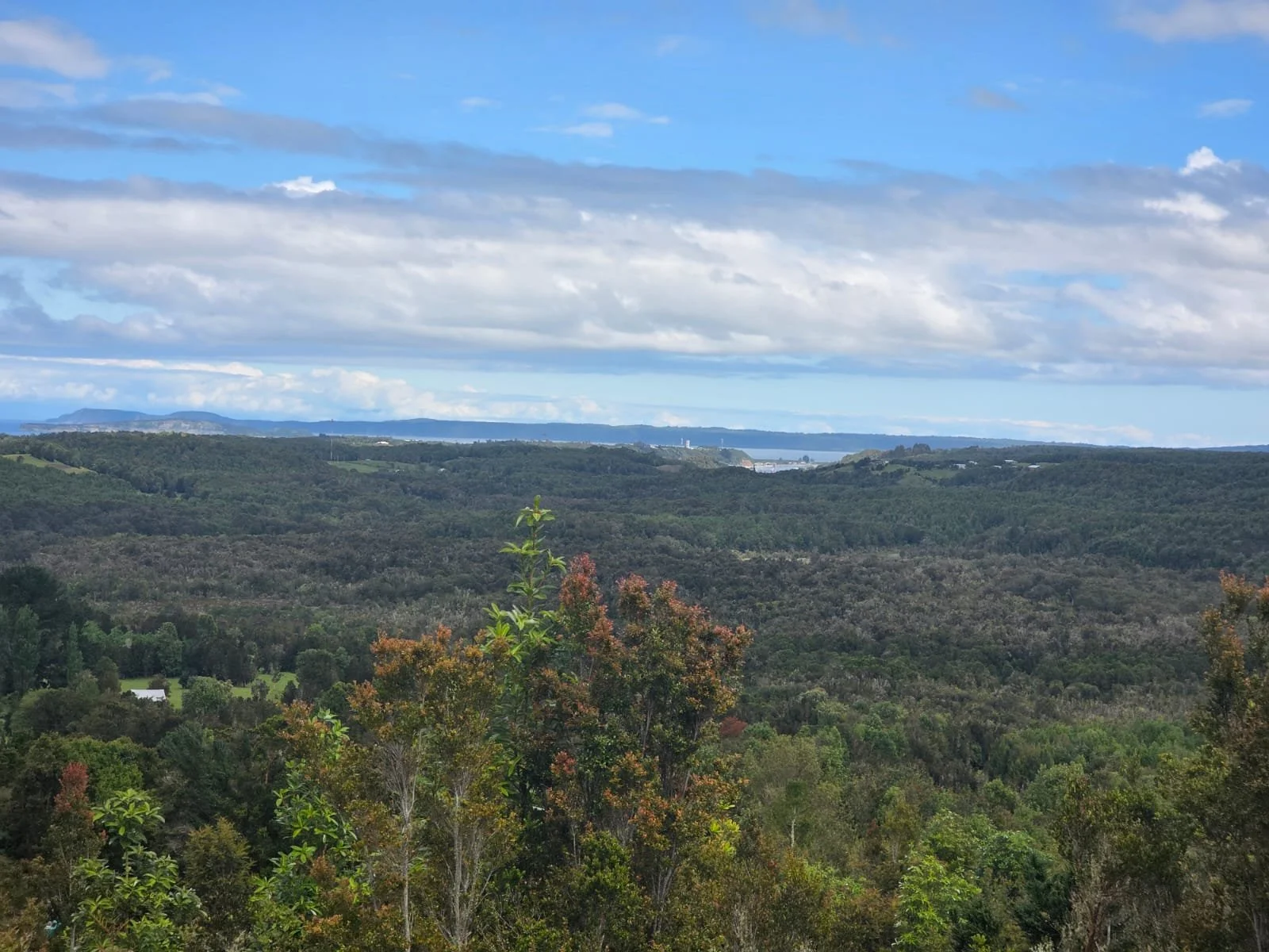 Detalles de las Unidades Disponibles:
Parcela Vista al Mar (5.000 m²): Valor: $20.000.000 (~UF 523).
Parcela Interior (5.000 m²): Valor: $15.000.000 (~UF 392).
Macrolote de 1,1 Hectáreas (11.000 m²): Valor: $30.000.000 (~UF 784).