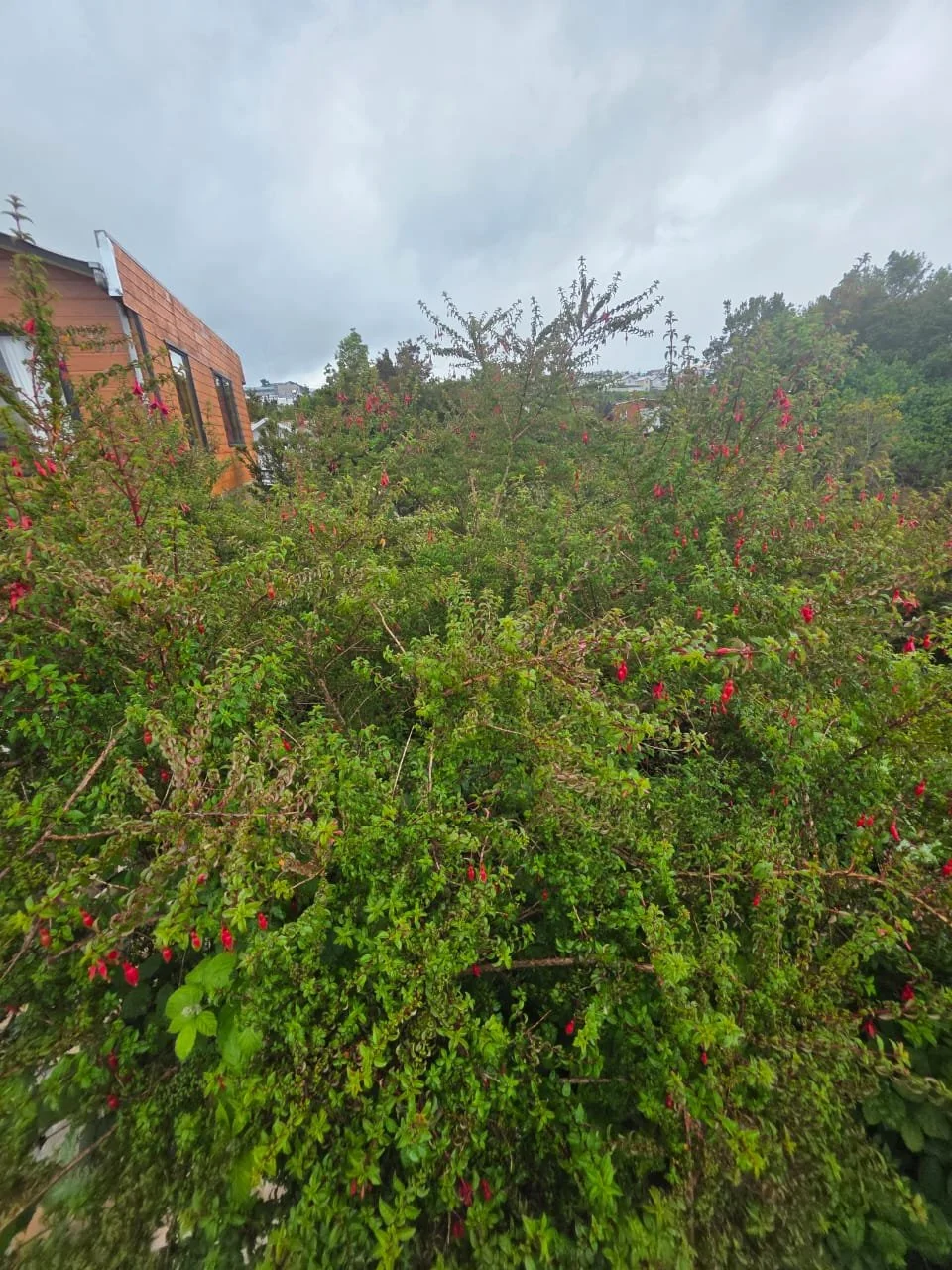 Imagen real de la propiedad