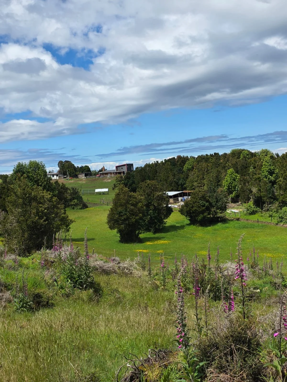 Detalles de las Unidades Disponibles:
Parcela Vista al Mar (5.000 m²): Valor: $20.000.000 (~UF 523).
Parcela Interior (5.000 m²): Valor: $15.000.000 (~UF 392).
Macrolote de 1,1 Hectáreas (11.000 m²): Valor: $30.000.000 (~UF 784).