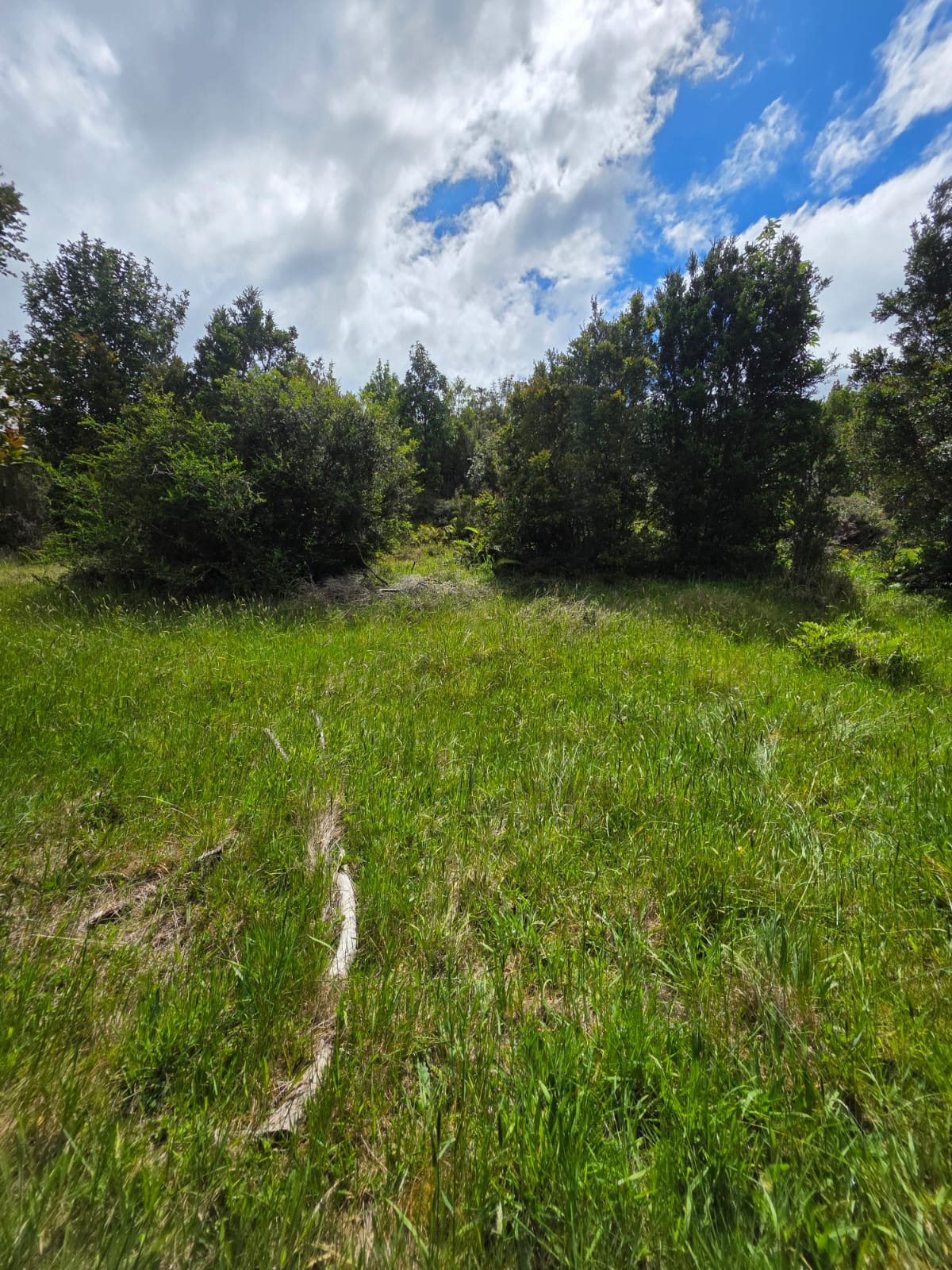 Detalles de las Unidades Disponibles:
Parcela Vista al Mar (5.000 m²): Valor: $20.000.000 (~UF 523).
Parcela Interior (5.000 m²): Valor: $15.000.000 (~UF 392).
Macrolote de 1,1 Hectáreas (11.000 m²): Valor: $30.000.000 (~UF 784).