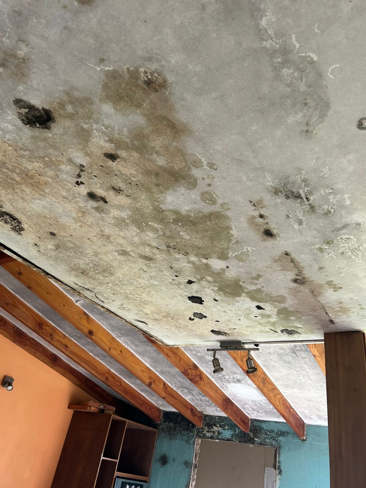 WhatsApp Image 2025-11-20 at 13.48.21 (1).jpeg