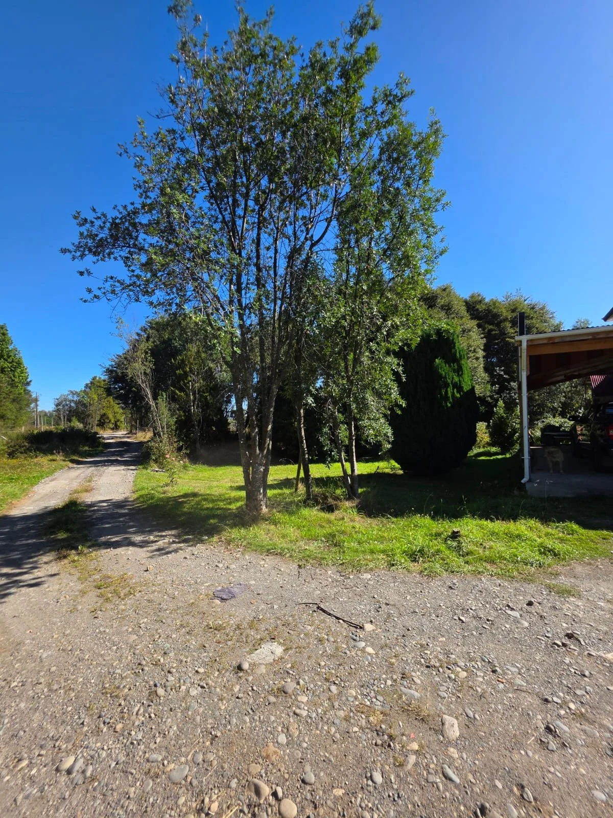 WhatsApp Image 2026-03-25 at 01.09.14.jpeg