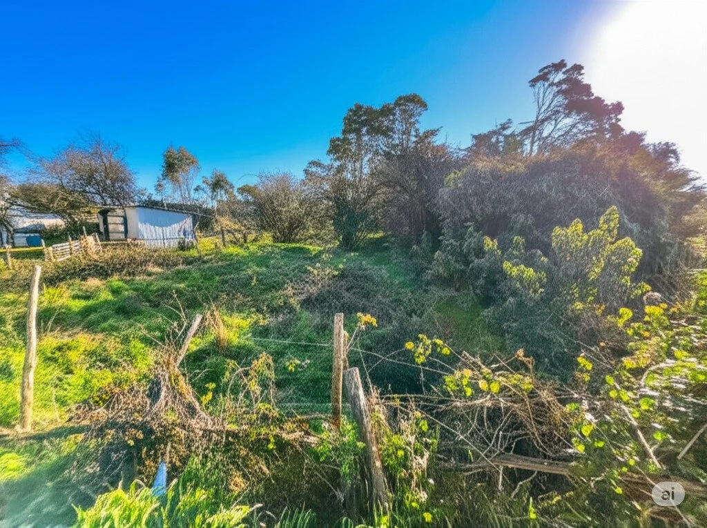 EN VENTA TERRENO EN LA COMUNA DEL CARELMAPU