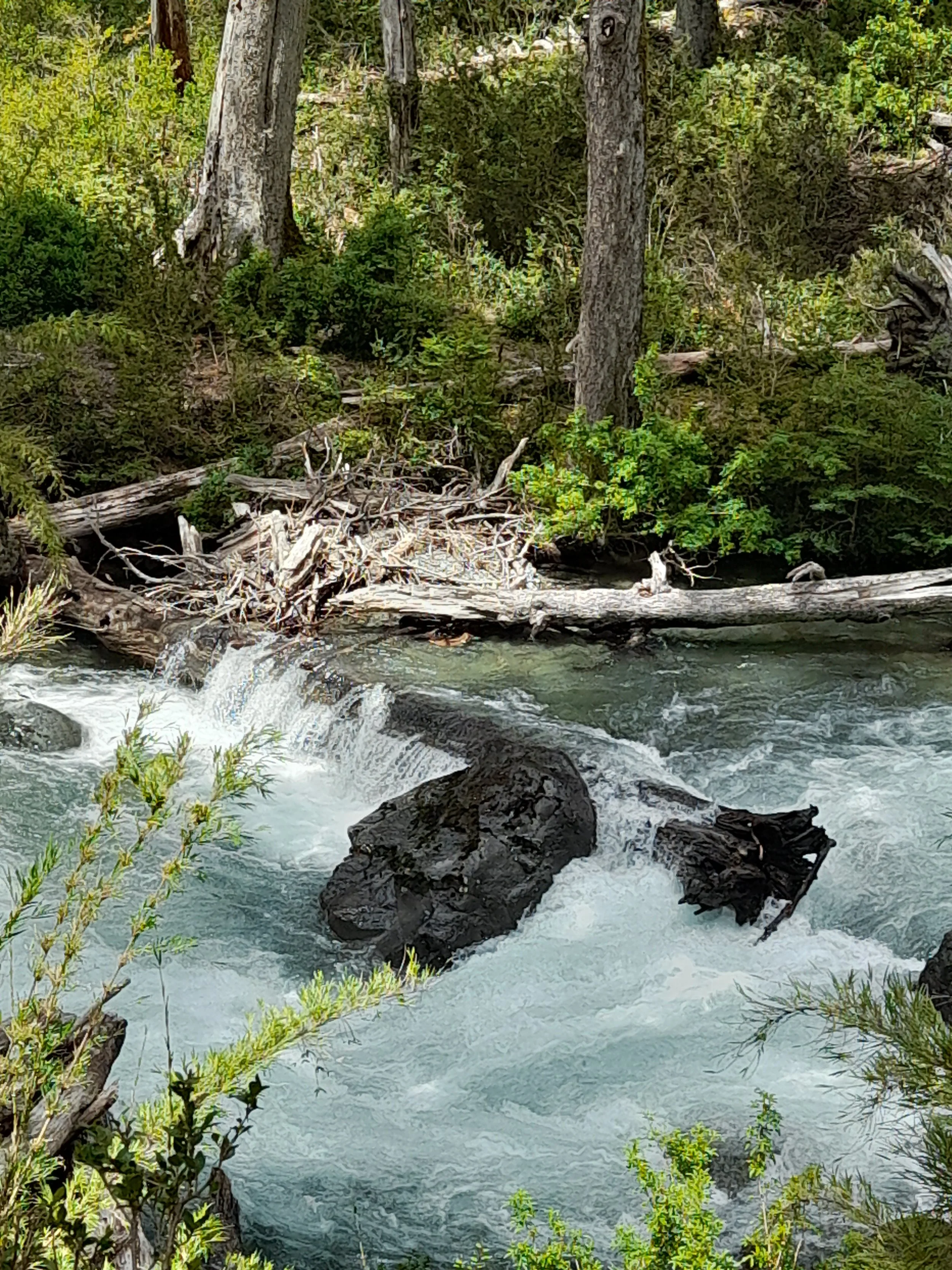 EN VENTA: predio de 5 hectáreas, subdivididas en parcelas de 10.000 m² (1 hectárea).
DESDE: $85.000.000.-