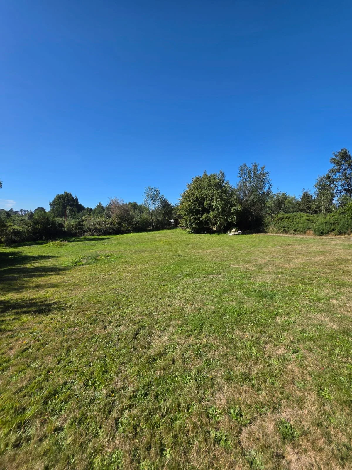 WhatsApp Image 2026-03-25 at 01.09.17.jpeg