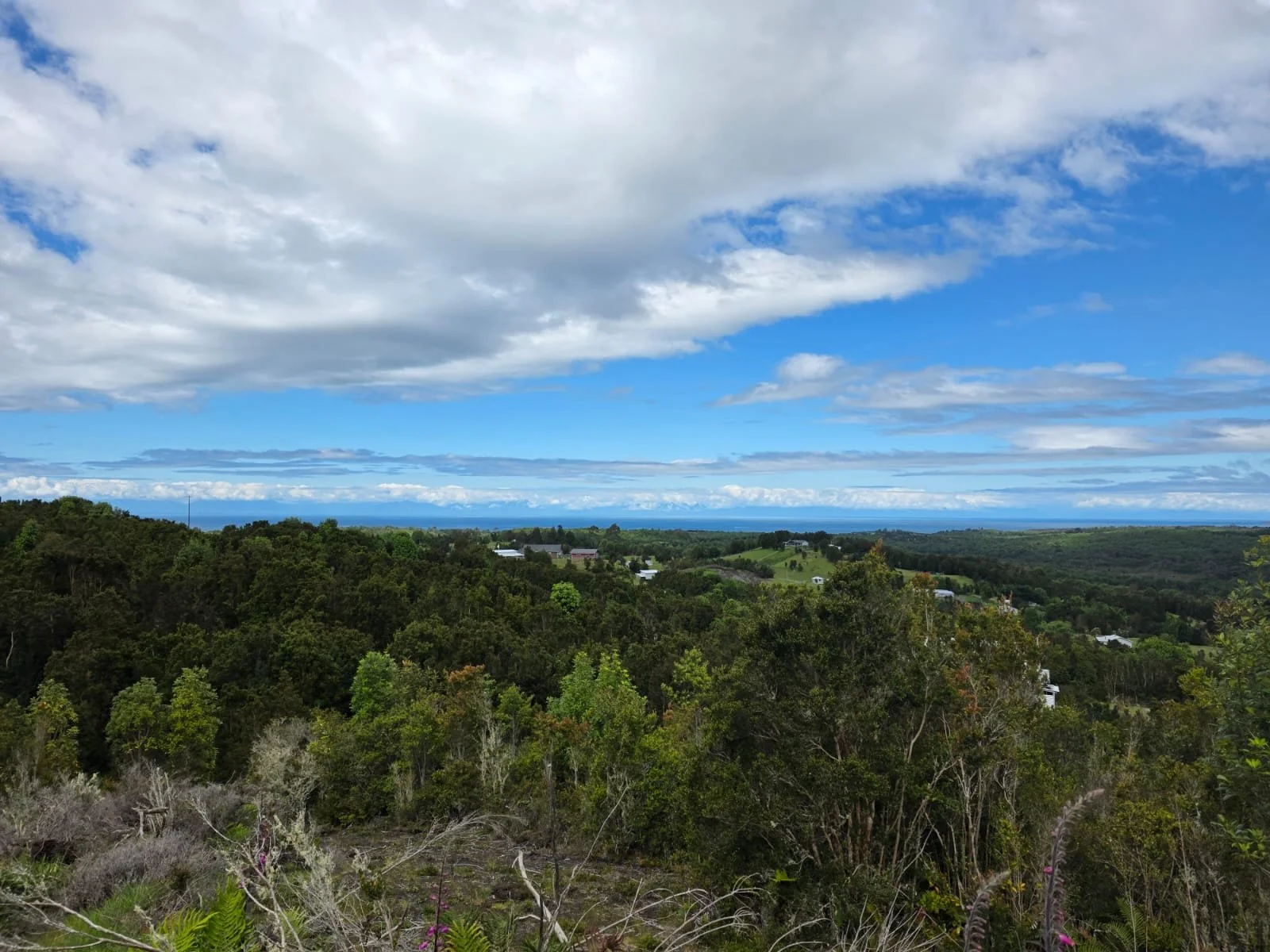 Detalles de las Unidades Disponibles:
Parcela Vista al Mar (5.000 m²): Valor: $20.000.000 (~UF 523).
Parcela Interior (5.000 m²): Valor: $15.000.000 (~UF 392).
Macrolote de 1,1 Hectáreas (11.000 m²): Valor: $30.000.000 (~UF 784).