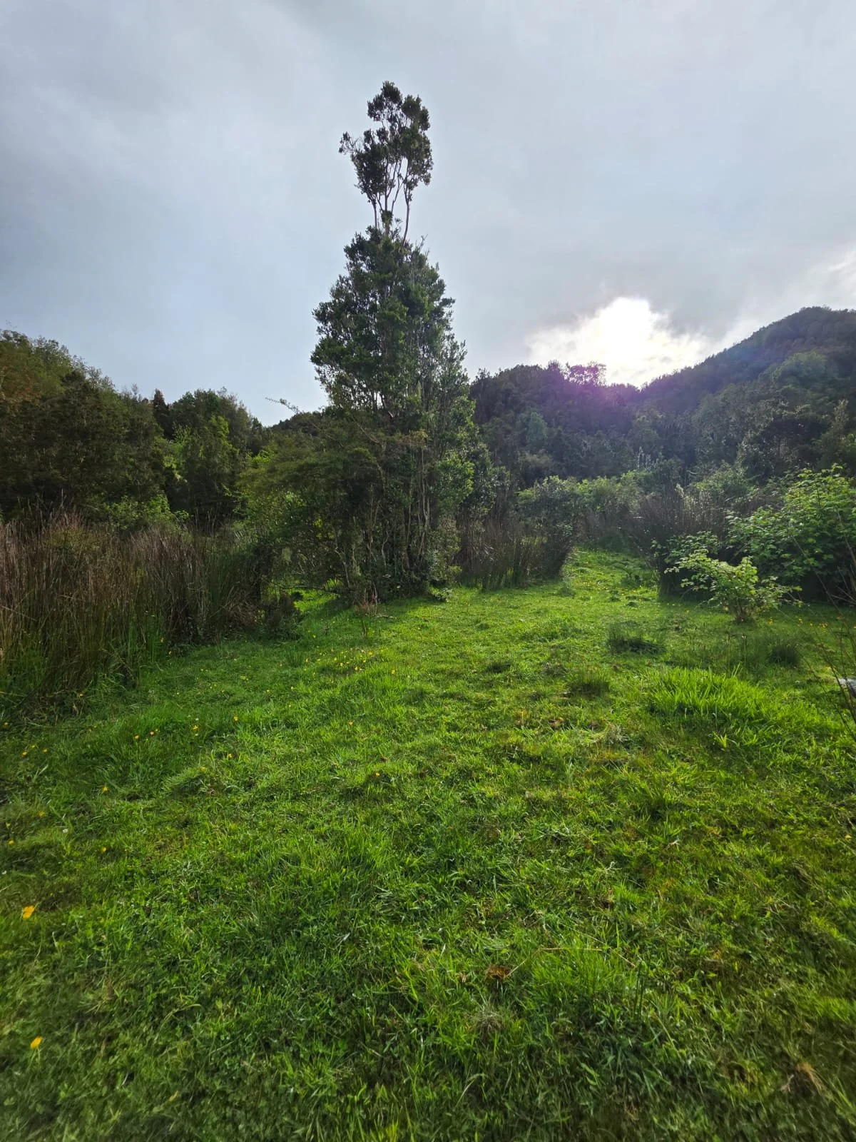 WhatsApp Image 2025-12-01 at 15.17.57 (2).jpeg