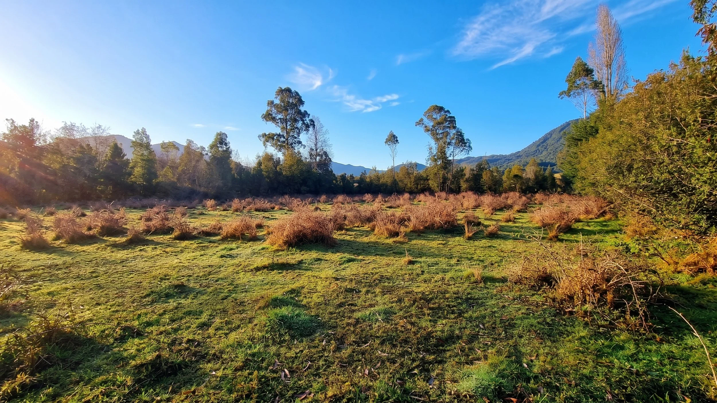 Descubre esta espectacular parcela de 5.631 m² ubicada en La Colonia (sector Correntoso, camino a la Carretera Austral). Un entorno privilegiado con bosque nativo, acceso al río, vistas a la cordillera y la tranquilidad que solo el sur de Chile te pu