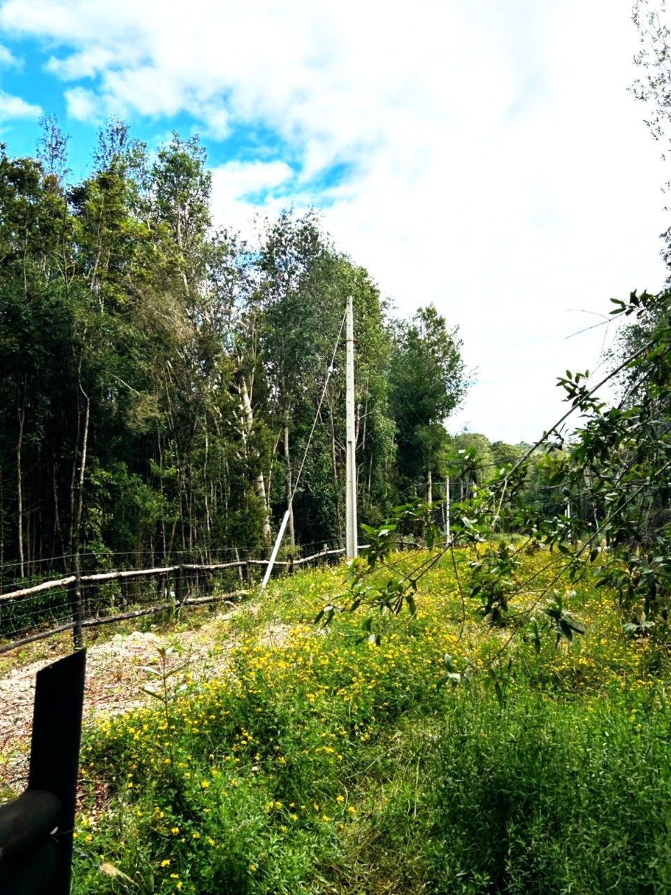 Ingreso Parcela 5000m2