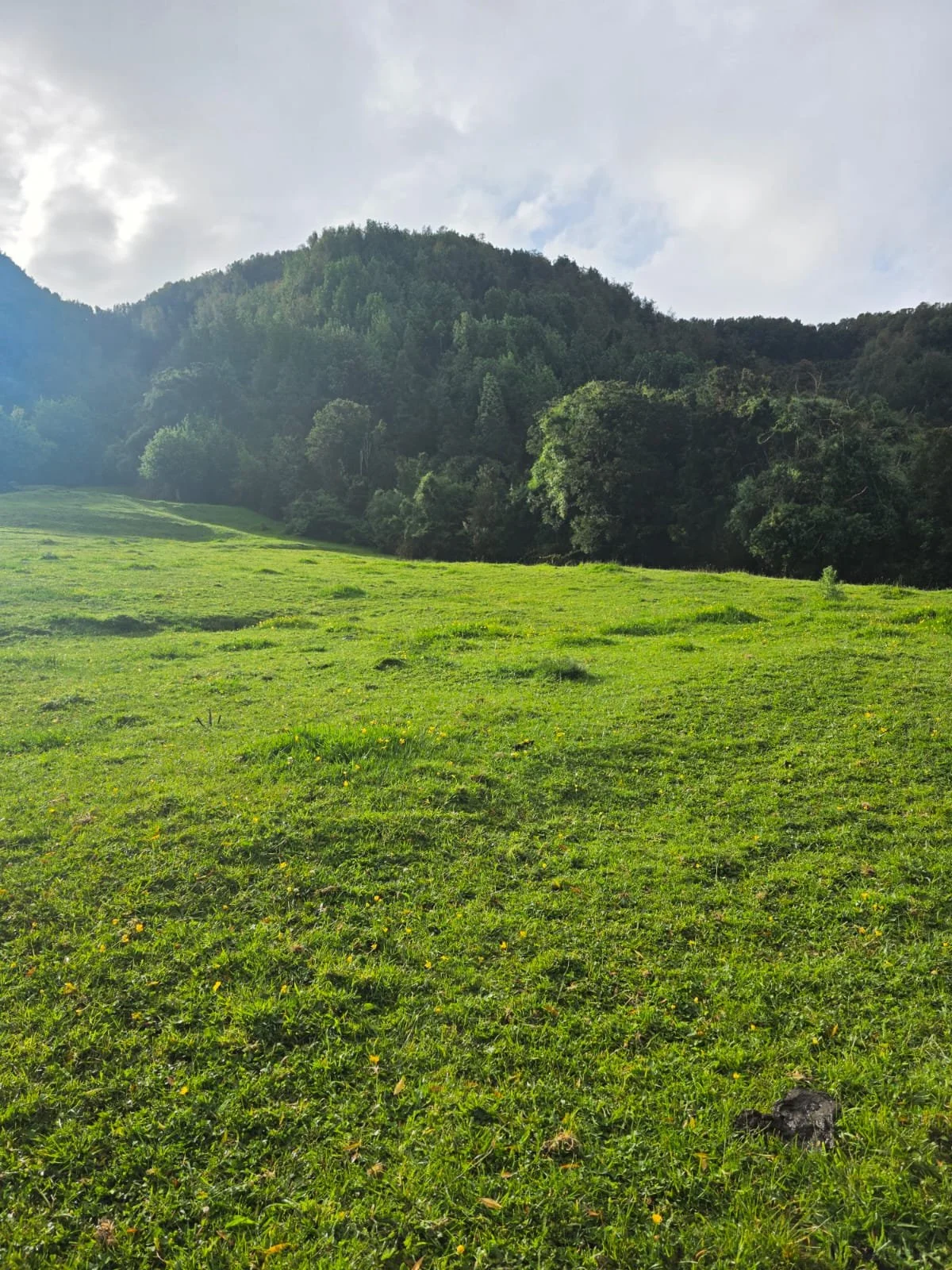 WhatsApp Image 2025-12-01 at 15.17.59 (2).jpeg