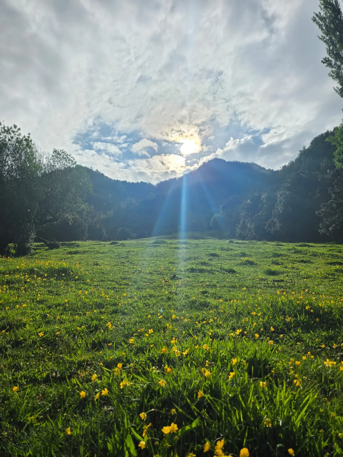 WhatsApp Image 2025-12-01 at 15.18.04.jpeg