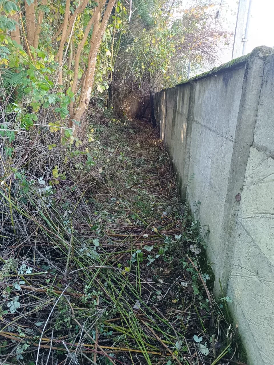 Terreno urbano colindante con Hospital de Quellón. 1.008,85 M2.
