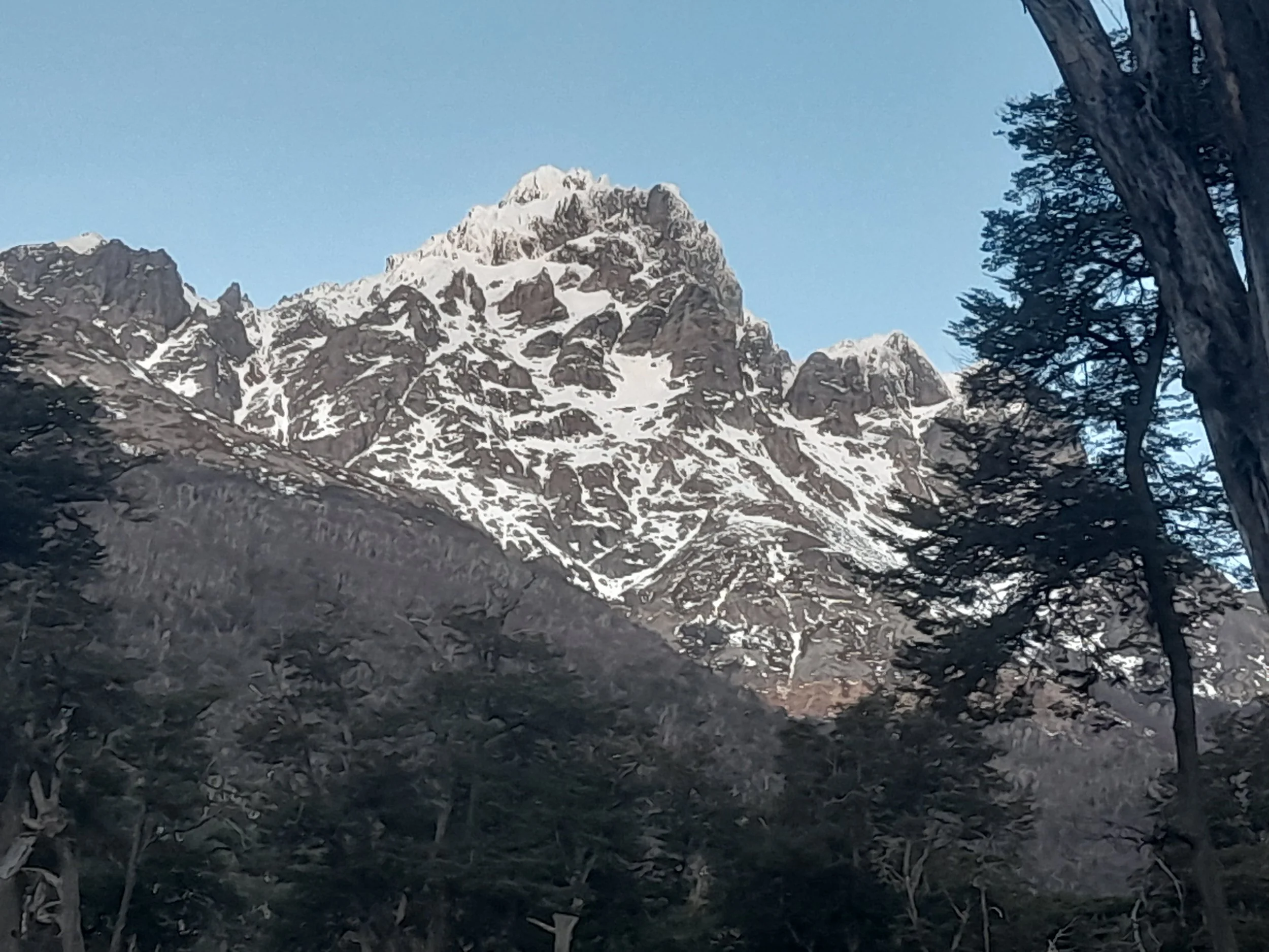 EN VENTA: predio de 5 hectáreas, subdivididas en parcelas de 10.000 m² (1 hectárea).
DESDE: $85.000.000.-