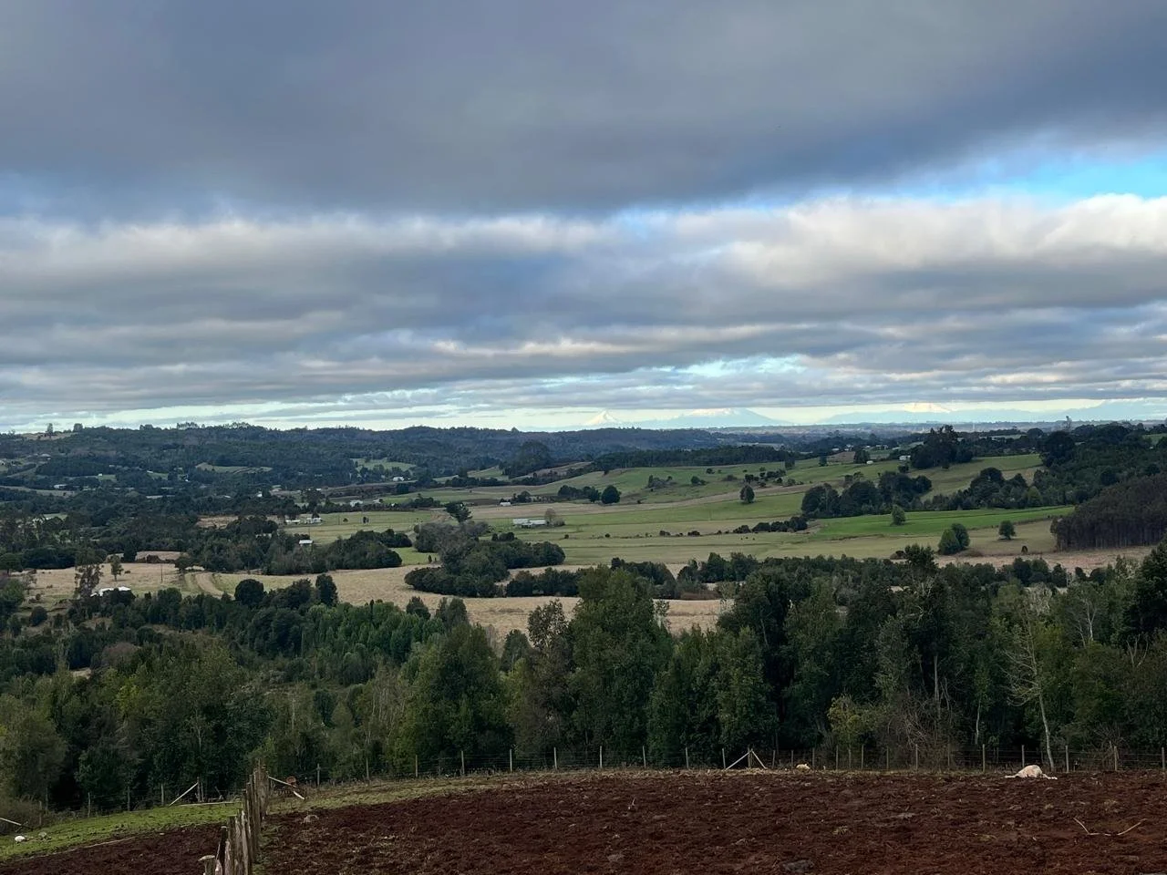 EN VENTA Y/O ARRIENDO CAMPO DE 47 HECTÁREAS, LOS MUERMOS.