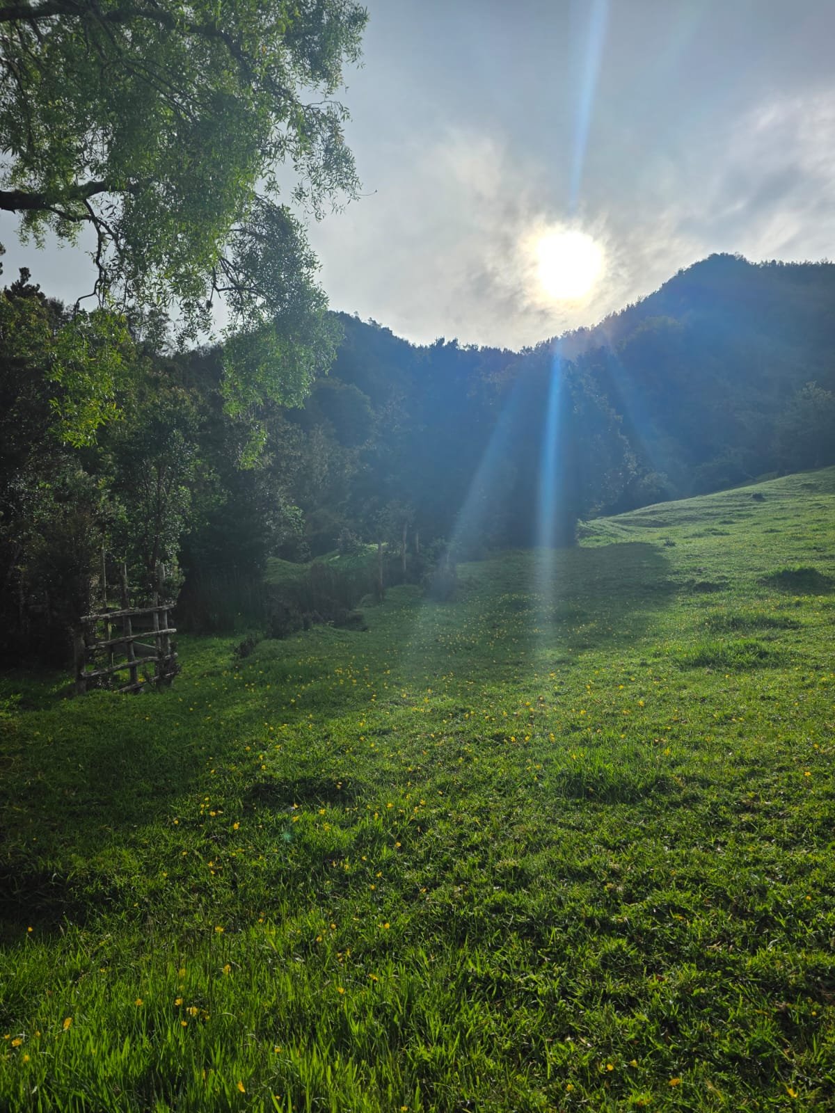 WhatsApp Image 2025-12-01 at 15.17.59 (1).jpeg