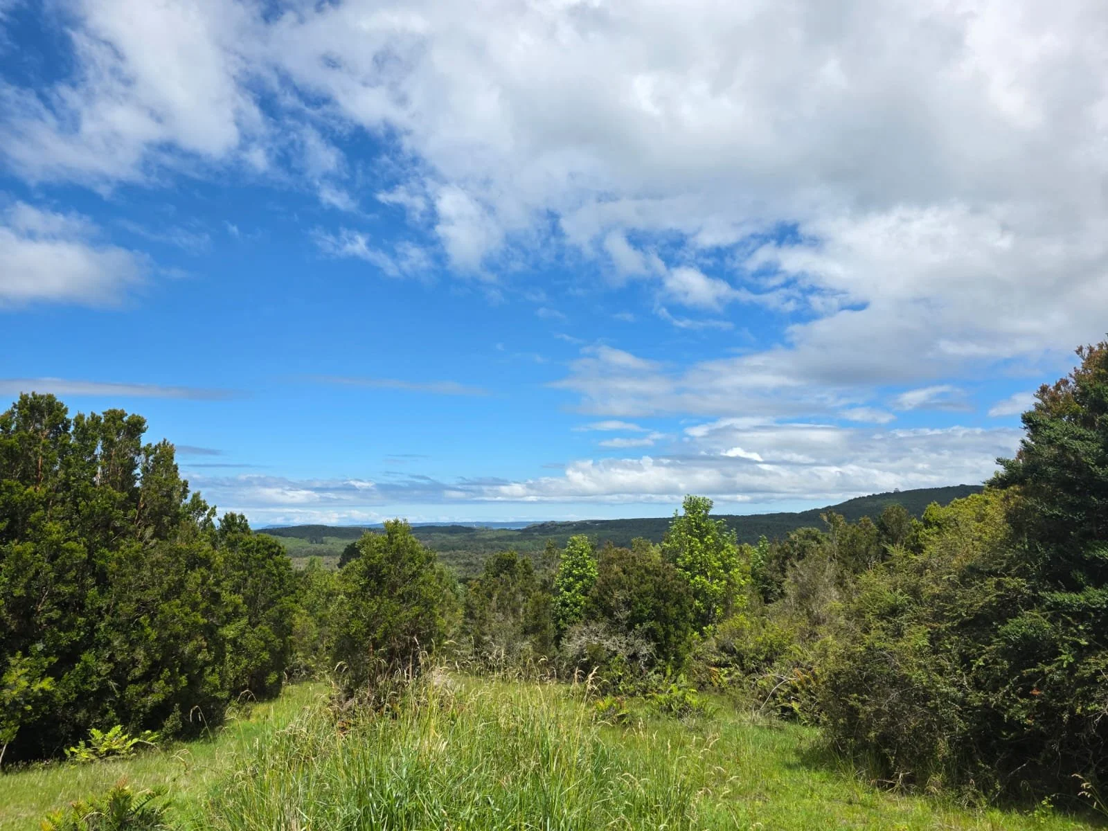 Detalles de las Unidades Disponibles:
Parcela Vista al Mar (5.000 m²): Valor: $20.000.000 (~UF 523).
Parcela Interior (5.000 m²): Valor: $15.000.000 (~UF 392).
Macrolote de 1,1 Hectáreas (11.000 m²): Valor: $30.000.000 (~UF 784).