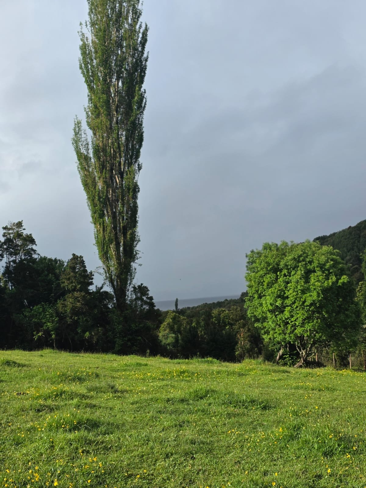 WhatsApp Image 2025-12-01 at 15.18.00 (1).jpeg