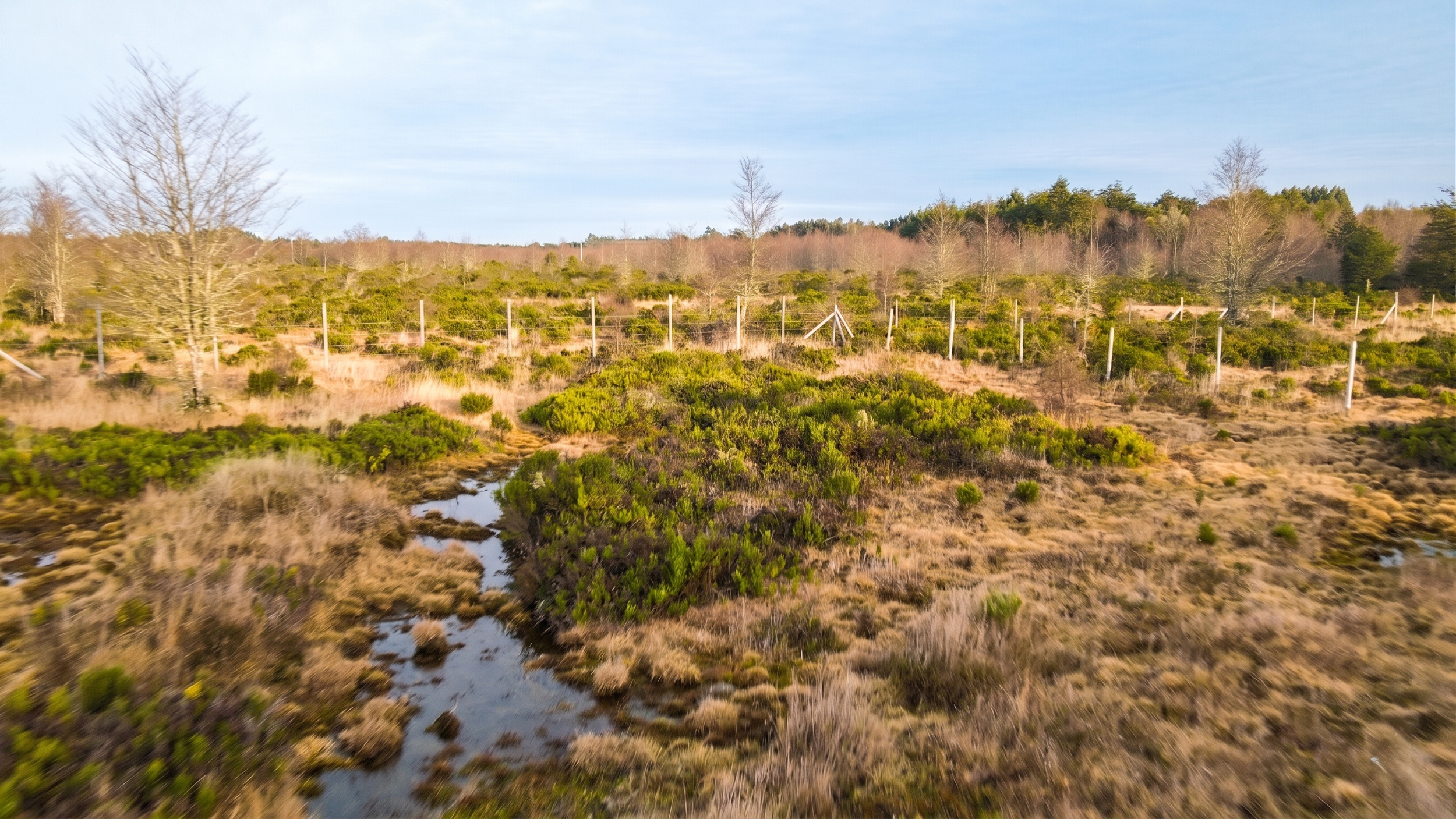 SUPERFICIE  Y ENTORNO: 
5.000 m² de topografía privilegiada. El terreno destaca por su recurso hídrico natural (vertiente propia) y una densa presencia de bosque nativo, factores que elevan inmediatamente su valor comercial y paisajístico.
Ubicación: