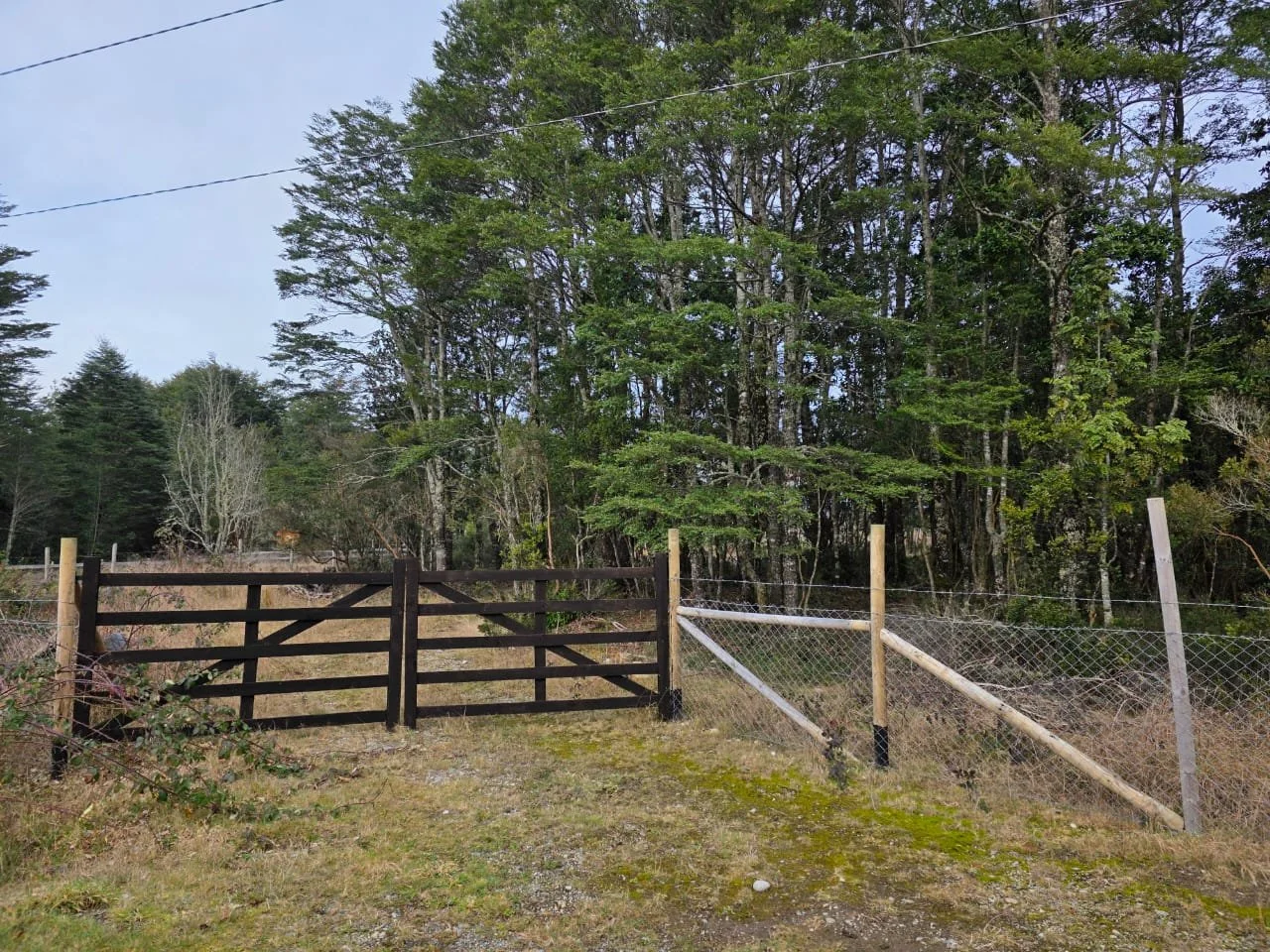 EN VENTA HERMOSA PARCELA DE 5.000M² EN CHAQUEIHUA, PUERTO MONTT.