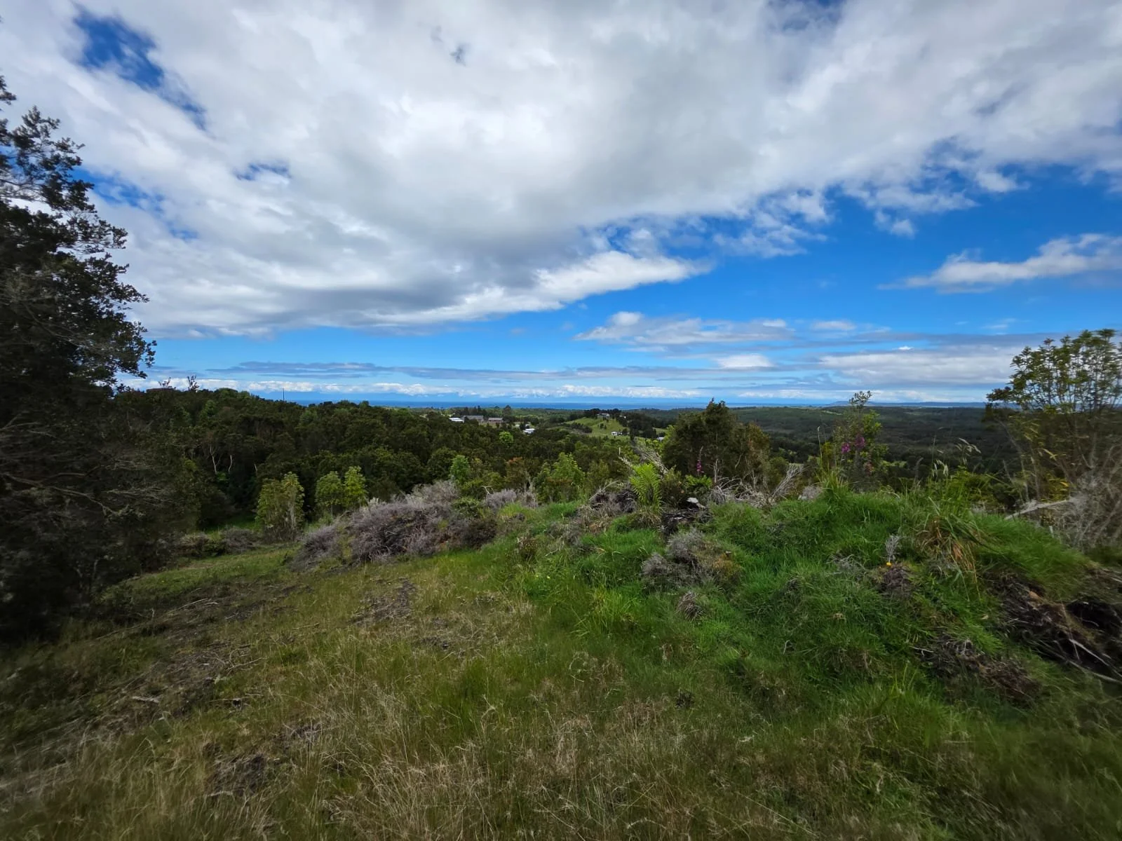 Detalles de las Unidades Disponibles:
Parcela Vista al Mar (5.000 m²): Valor: $20.000.000 (~UF 523).
Parcela Interior (5.000 m²): Valor: $15.000.000 (~UF 392).
Macrolote de 1,1 Hectáreas (11.000 m²): Valor: $30.000.000 (~UF 784).