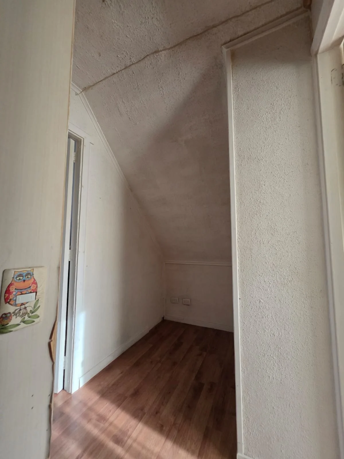 WhatsApp Image 2025-12-09 at 23.49.08.JPG