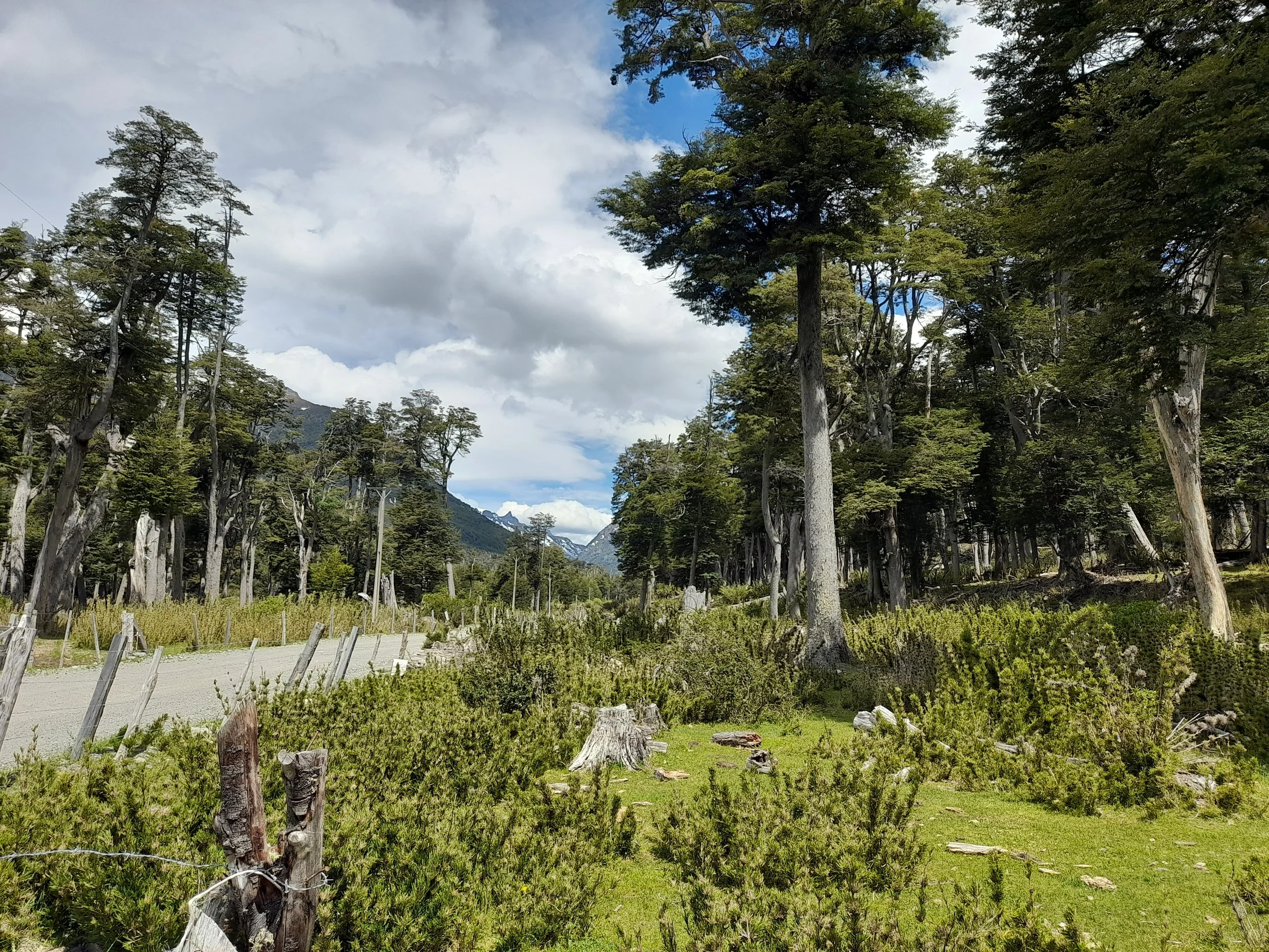 EN VENTA: predio de 5 hectáreas, subdivididas en parcelas de 10.000 m² (1 hectárea).
DESDE: $85.000.000.-