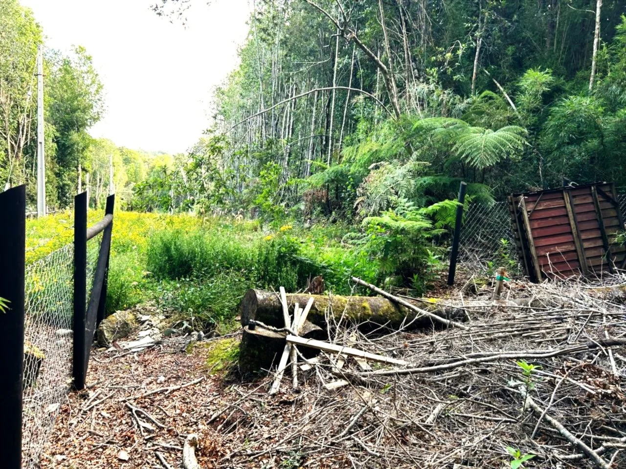 Ingreso Parcela 5000m2