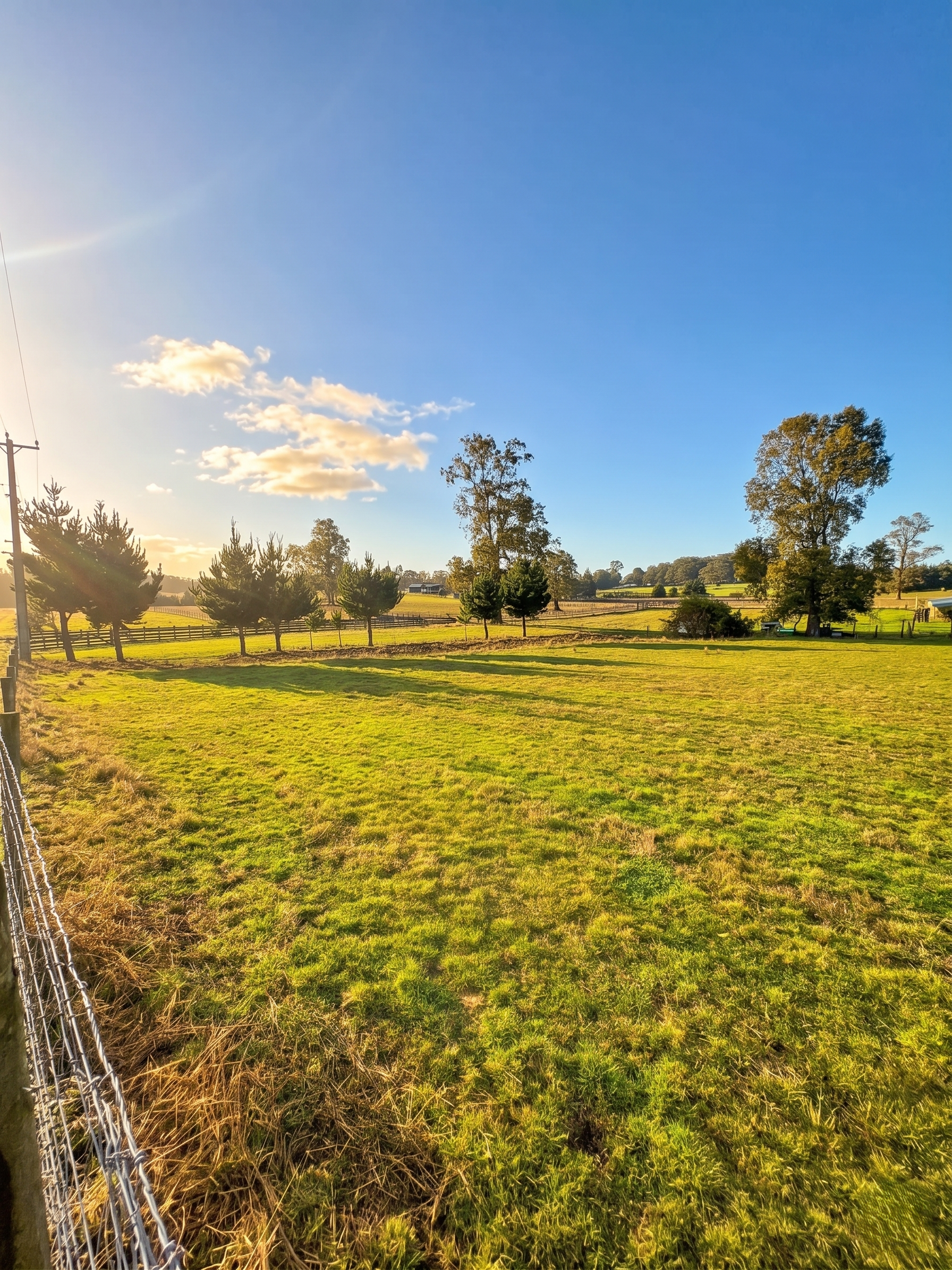 Superficie: 5.000 M².
Ubicación: Parcelación, condominio cerrado, Aires de Fresia / Cañitas.
Entorno: Pradera con árboles nativos.
Disponibilidad: Inmediata.¡Lista para escriturar!