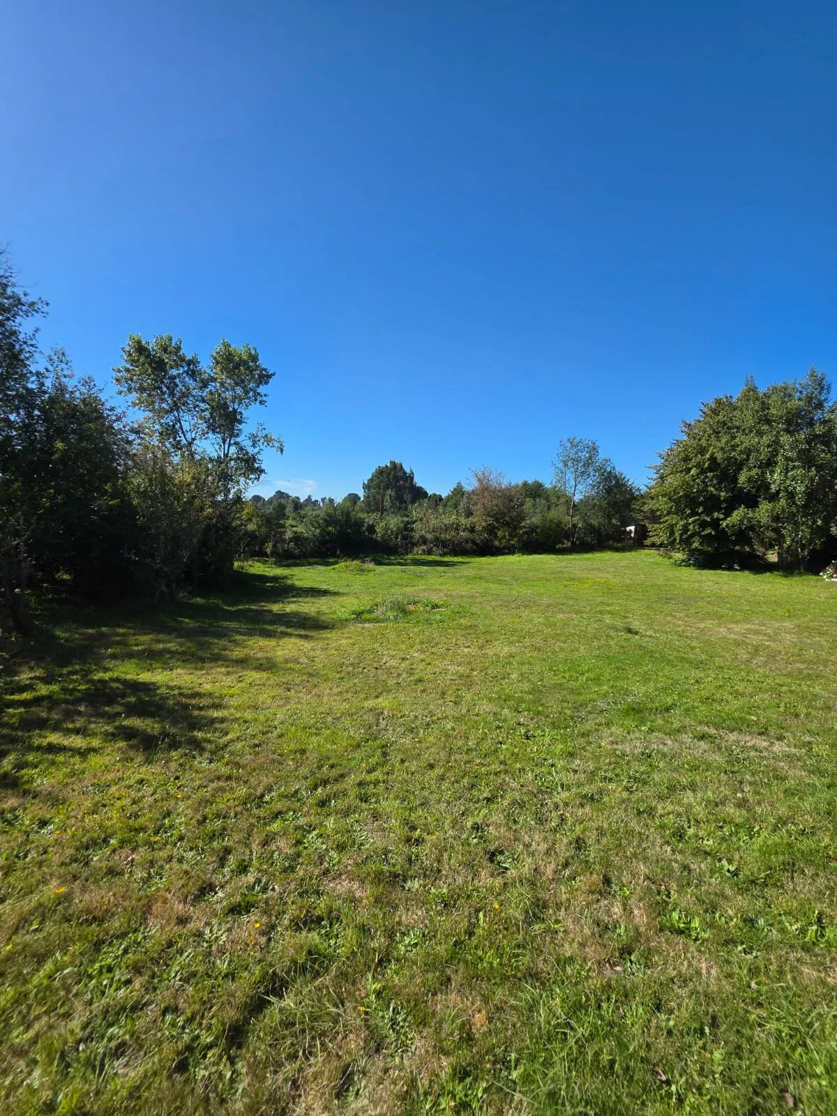 WhatsApp Image 2026-03-25 at 01.09.17 (1).jpeg