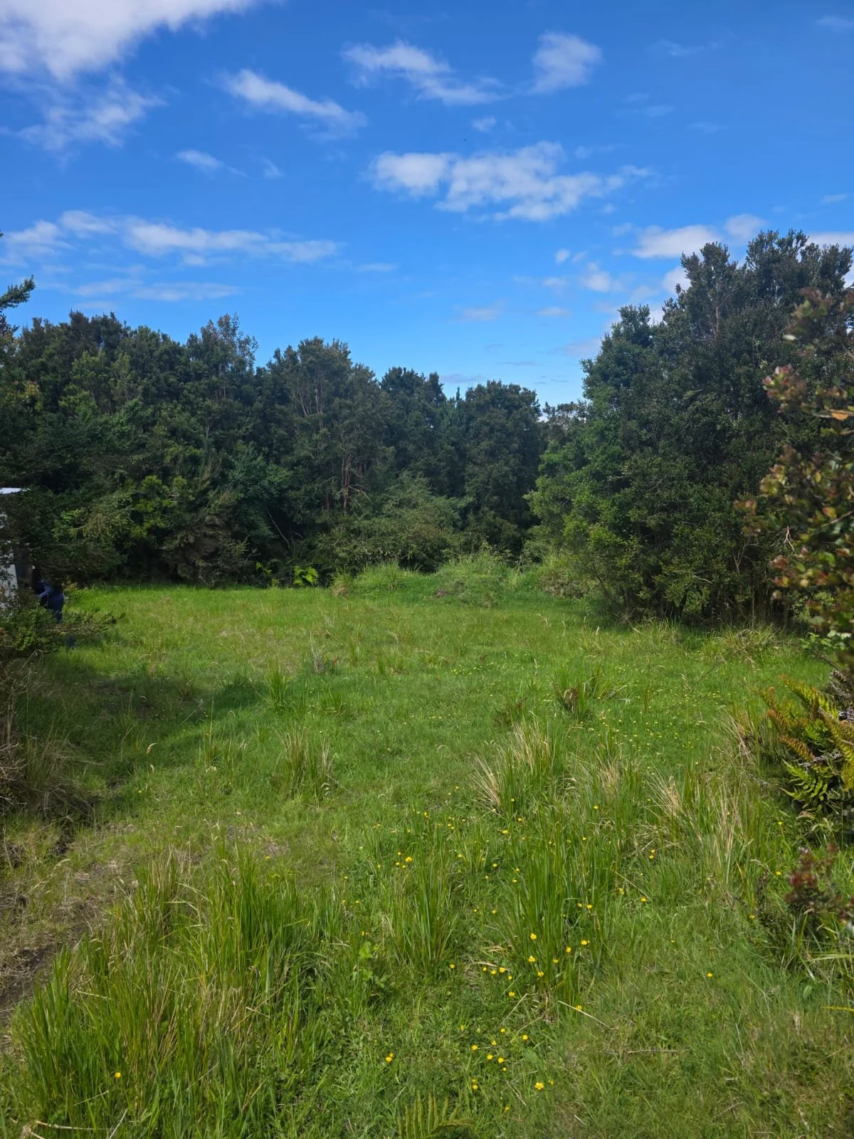 Detalles de las Unidades Disponibles:
Parcela Vista al Mar (5.000 m²): Valor: $20.000.000 (~UF 523).
Parcela Interior (5.000 m²): Valor: $15.000.000 (~UF 392).
Macrolote de 1,1 Hectáreas (11.000 m²): Valor: $30.000.000 (~UF 784).