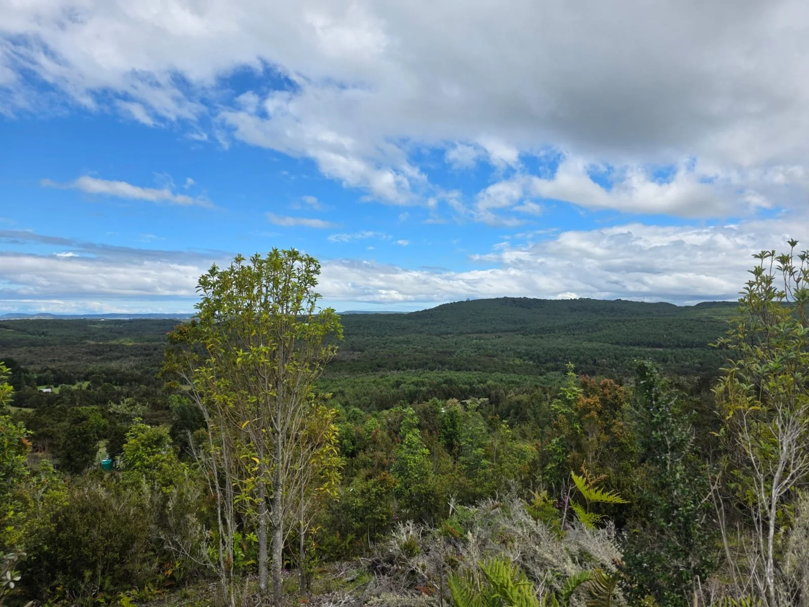 Detalles de las Unidades Disponibles:
Parcela Vista al Mar (5.000 m²): Valor: $20.000.000 (~UF 523).
Parcela Interior (5.000 m²): Valor: $15.000.000 (~UF 392).
Macrolote de 1,1 Hectáreas (11.000 m²): Valor: $30.000.000 (~UF 784).