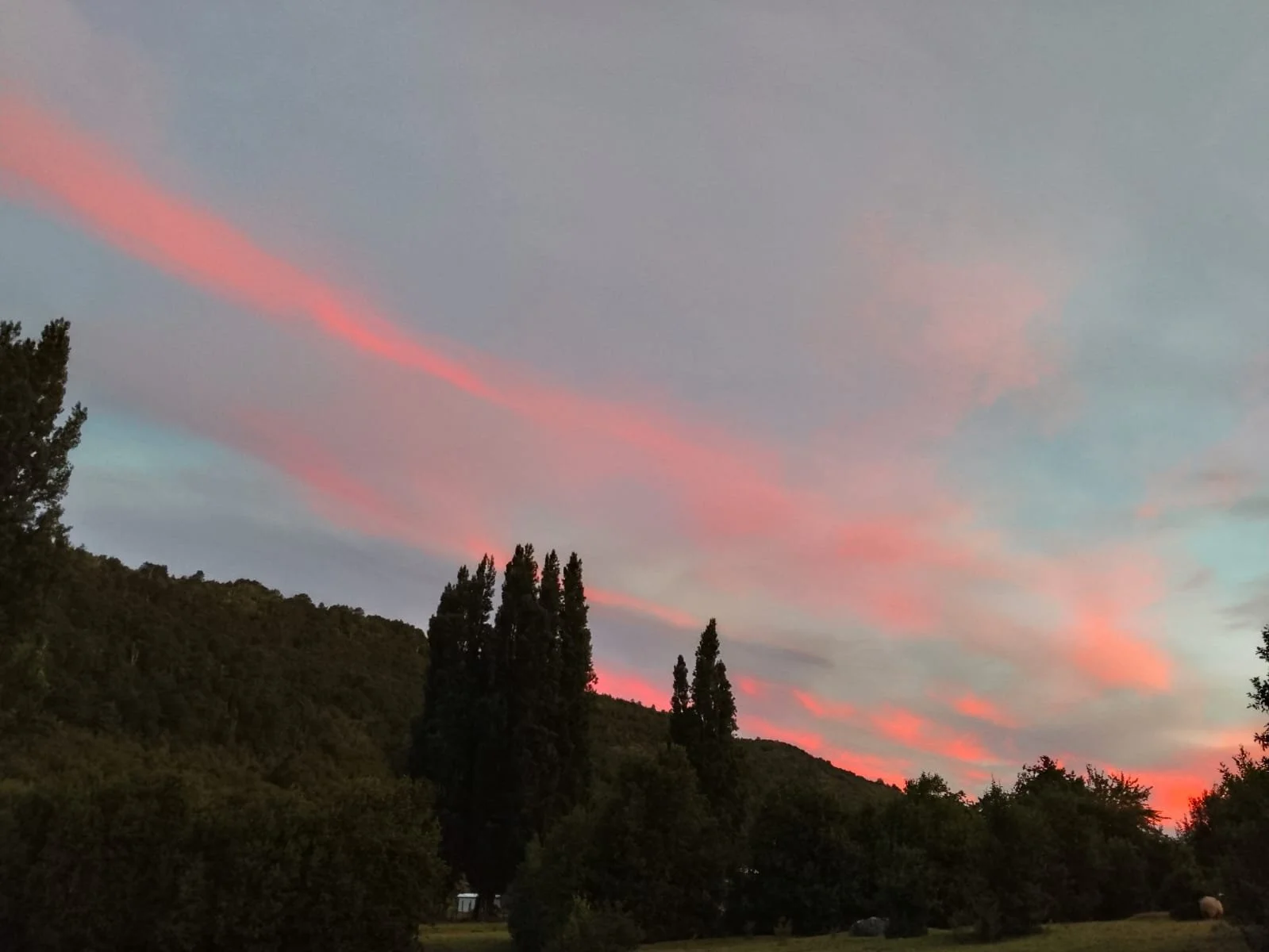 Ubicación de Alta Plusvalía: Emplazada en un sector de creciente interés turístico mundial, ideal para amantes de la pesca con mosca, el trekking y la desconexión absoluta.