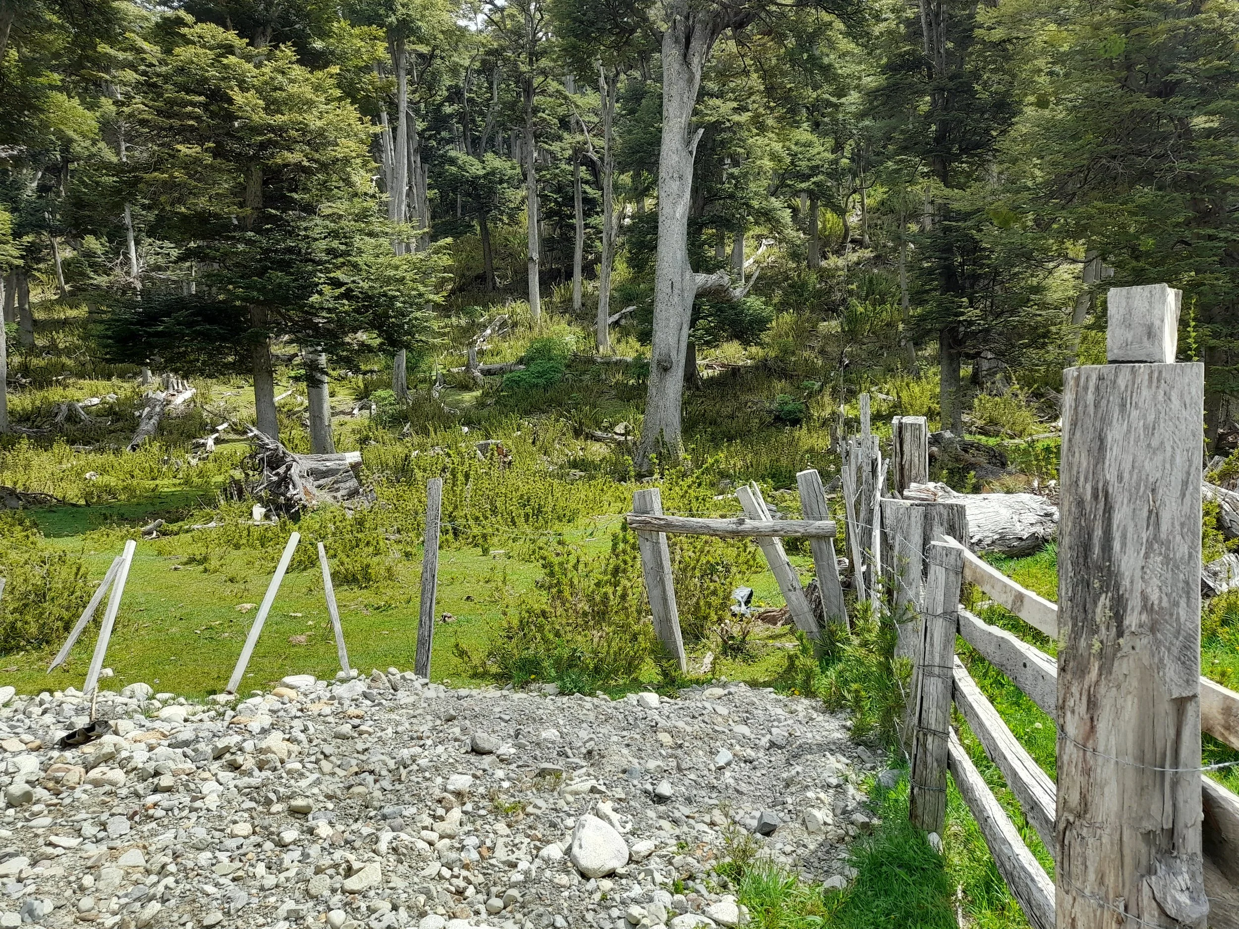 EN VENTA: predio de 5 hectáreas, subdivididas en parcelas de 10.000 m² (1 hectárea).
DESDE: $85.000.000.-