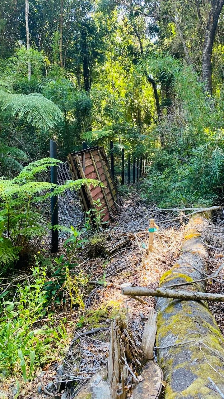 Ingreso Parcela 5000m2