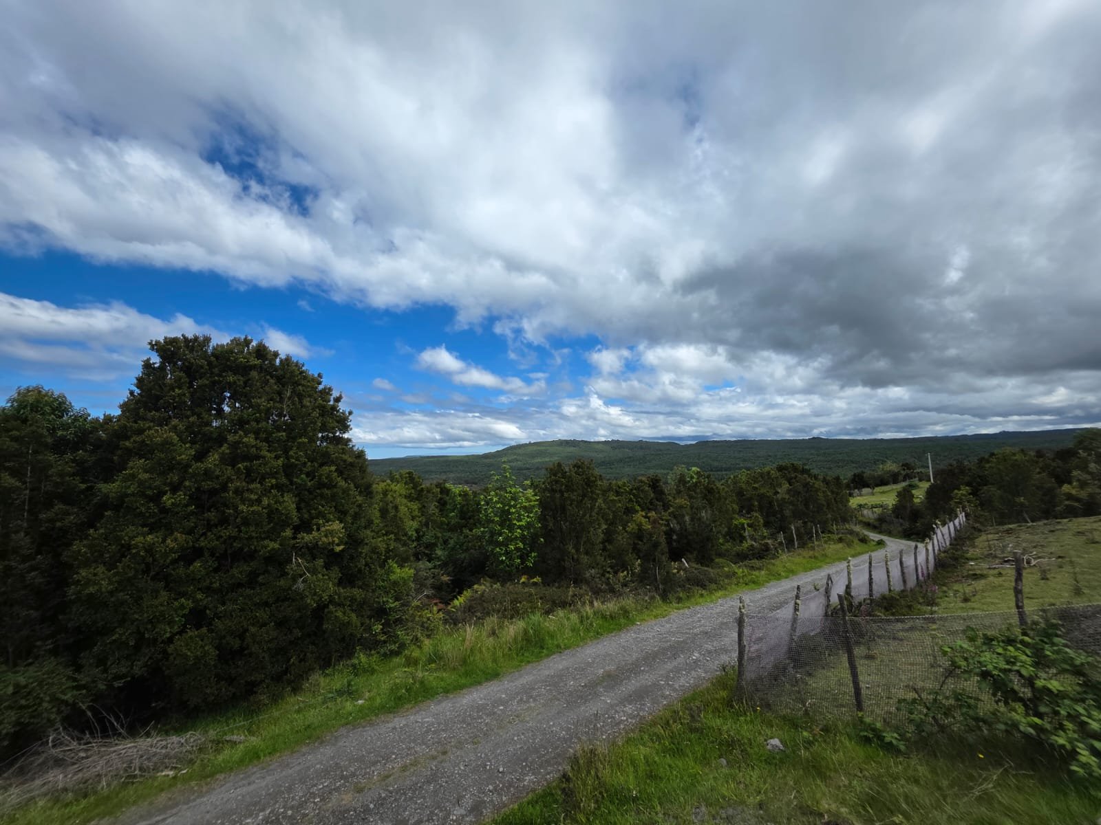 Detalles de las Unidades Disponibles:
Parcela Vista al Mar (5.000 m²): Valor: $20.000.000 (~UF 523).
Parcela Interior (5.000 m²): Valor: $15.000.000 (~UF 392).
Macrolote de 1,1 Hectáreas (11.000 m²): Valor: $30.000.000 (~UF 784).