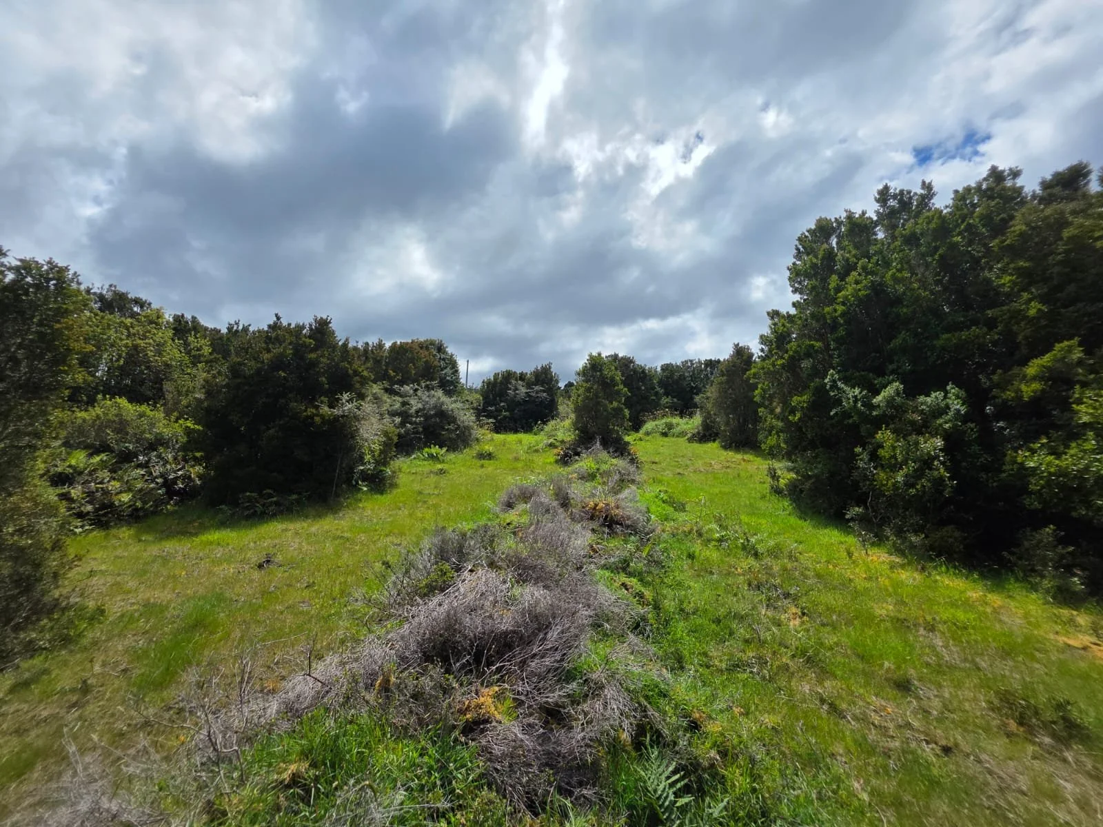 Detalles de las Unidades Disponibles:
Parcela Vista al Mar (5.000 m²): Valor: $20.000.000 (~UF 523).
Parcela Interior (5.000 m²): Valor: $15.000.000 (~UF 392).
Macrolote de 1,1 Hectáreas (11.000 m²): Valor: $30.000.000 (~UF 784).