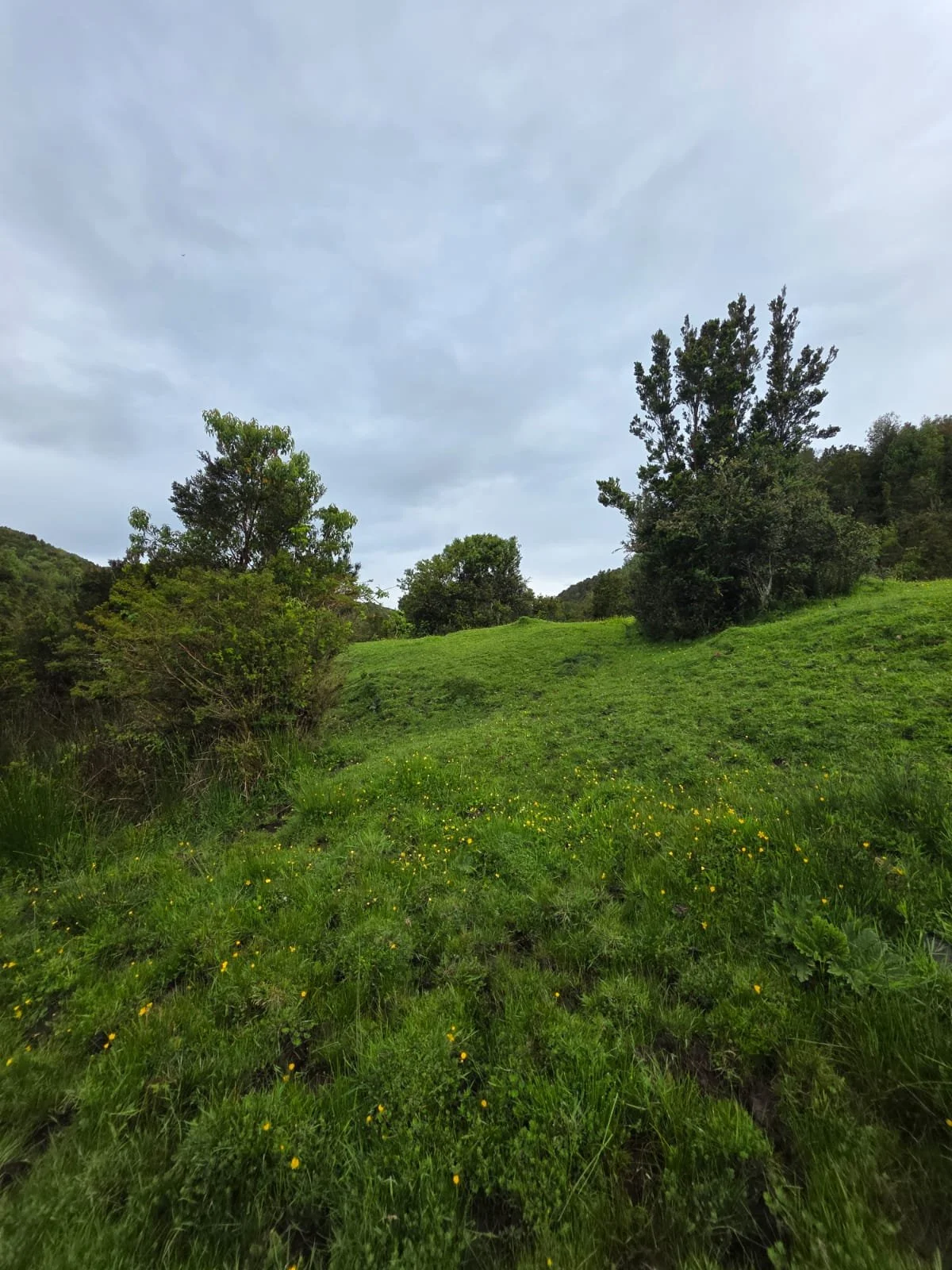 WhatsApp Image 2025-12-01 at 15.17.57.jpeg