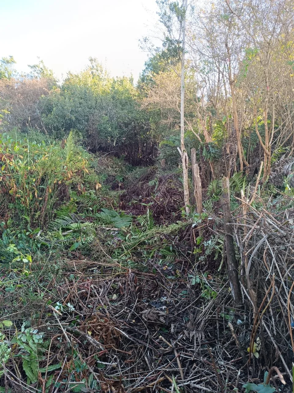 Terreno urbano colindante con Hospital de Quellón. 1.008,85 M2.