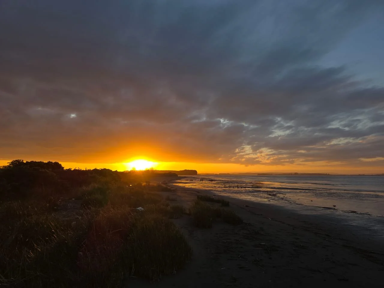 EN VENTA PARCELA DE 1,2 HECTÁREAS EN PANGAL, MAULLÍN.