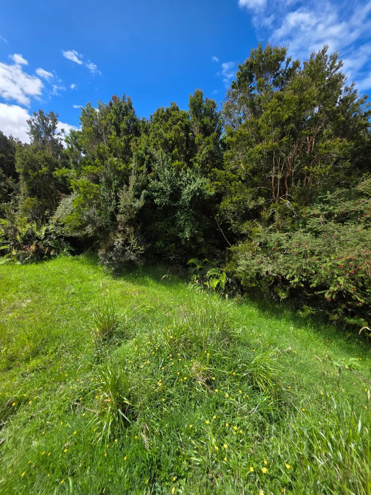 Detalles de las Unidades Disponibles:
Parcela Vista al Mar (5.000 m²): Valor: $20.000.000 (~UF 523).
Parcela Interior (5.000 m²): Valor: $15.000.000 (~UF 392).
Macrolote de 1,1 Hectáreas (11.000 m²): Valor: $30.000.000 (~UF 784).