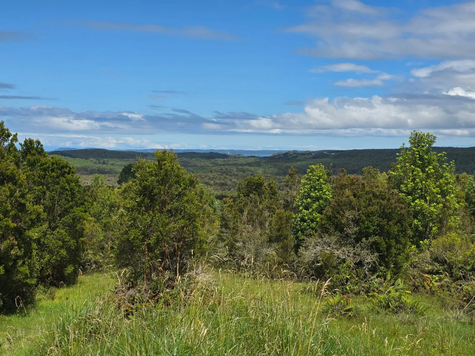 Detalles de las Unidades Disponibles:
Parcela Vista al Mar (5.000 m²): Valor: $20.000.000 (~UF 523).
Parcela Interior (5.000 m²): Valor: $15.000.000 (~UF 392).
Macrolote de 1,1 Hectáreas (11.000 m²): Valor: $30.000.000 (~UF 784).