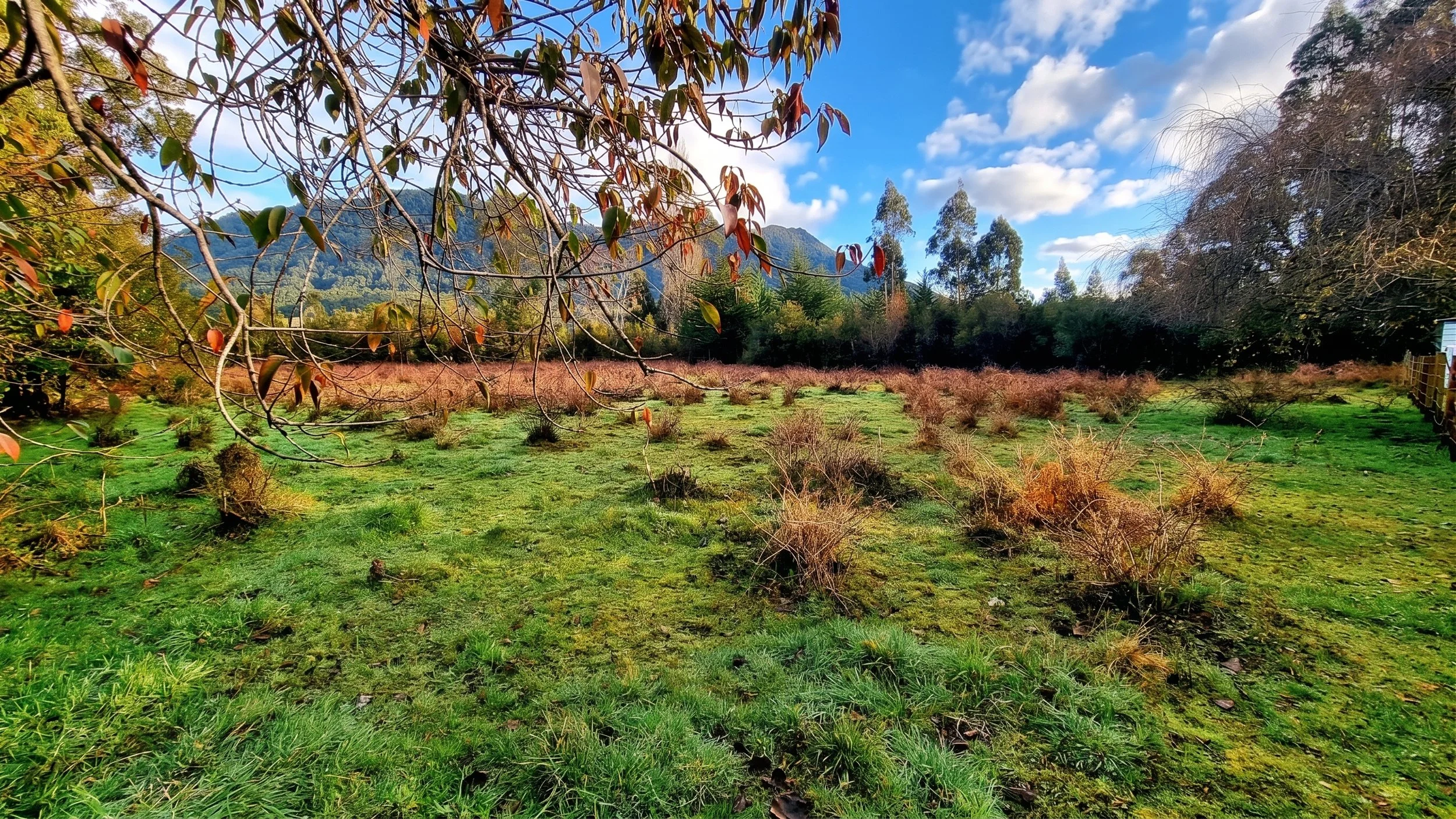 Descubre esta espectacular parcela de 5.631 m² ubicada en La Colonia (sector Correntoso, camino a la Carretera Austral). Un entorno privilegiado con bosque nativo, acceso al río, vistas a la cordillera y la tranquilidad que solo el sur de Chile te pu