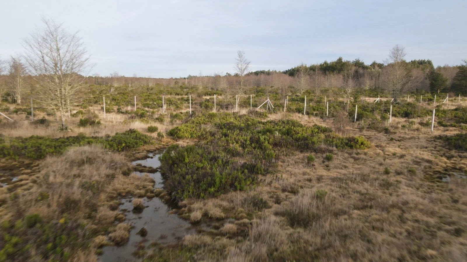 HERMOSA PARCELA DE 5.000M² EN VENTA