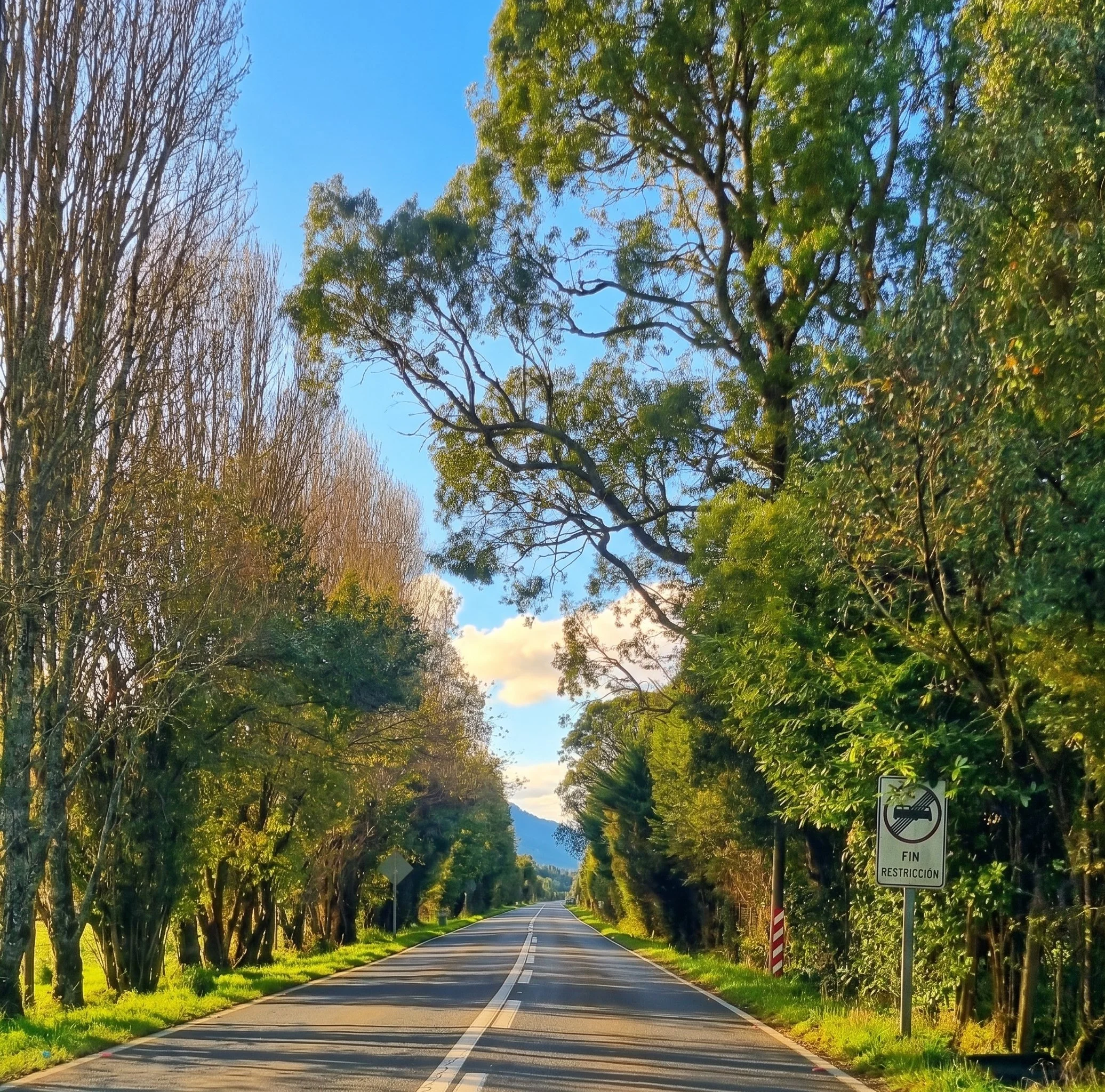 Descubre esta espectacular parcela de 5.631 m² ubicada en La Colonia (sector Correntoso, camino a la Carretera Austral). Un entorno privilegiado con bosque nativo, acceso al río, vistas a la cordillera y la tranquilidad que solo el sur de Chile te pu