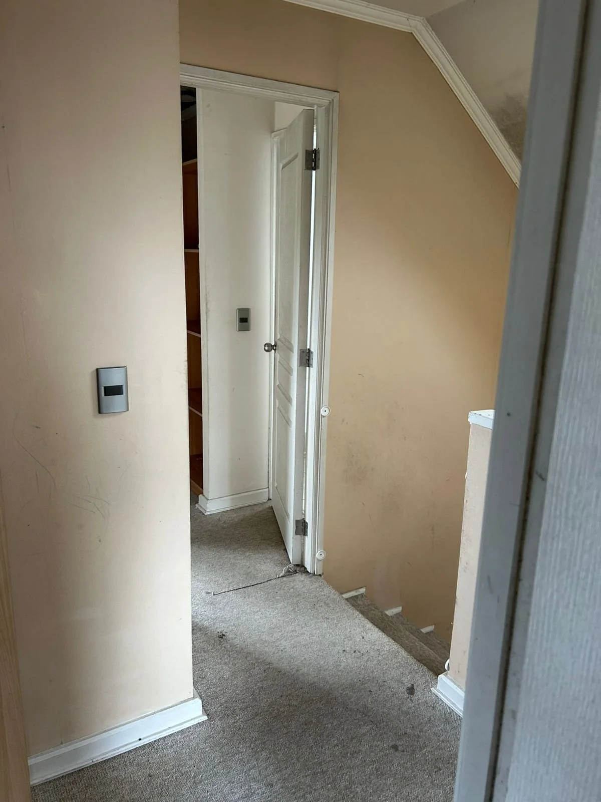 WhatsApp Image 2025-11-20 at 13.48.26.jpeg